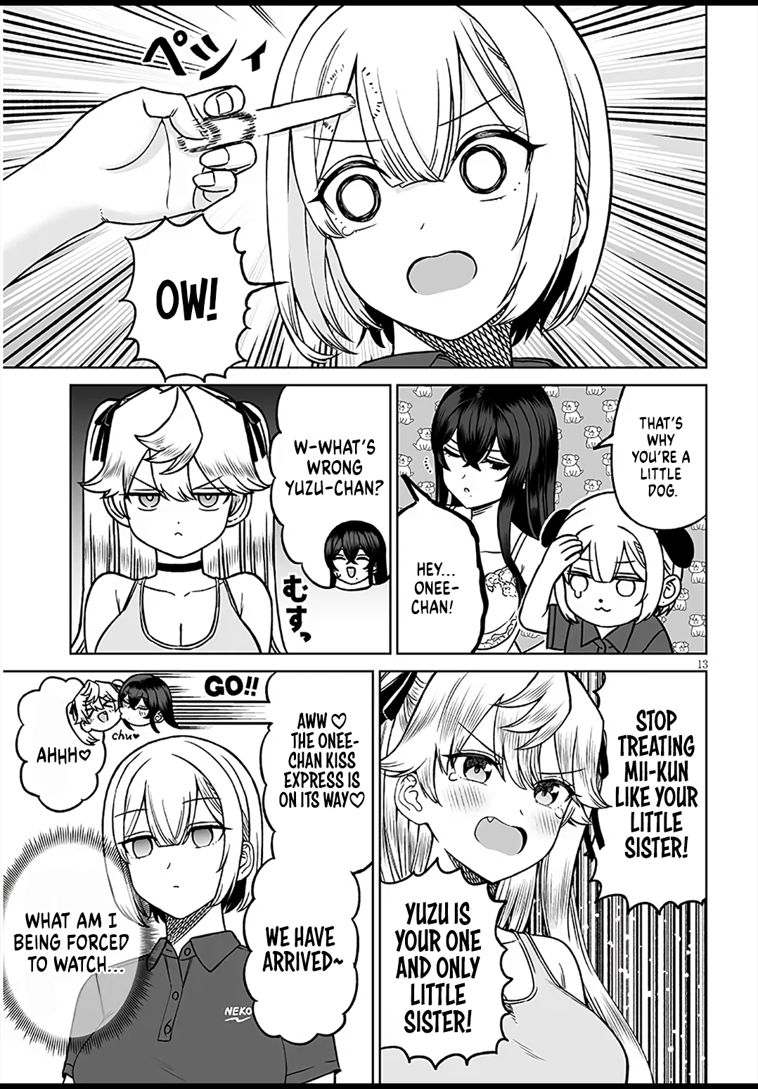 Page 13
