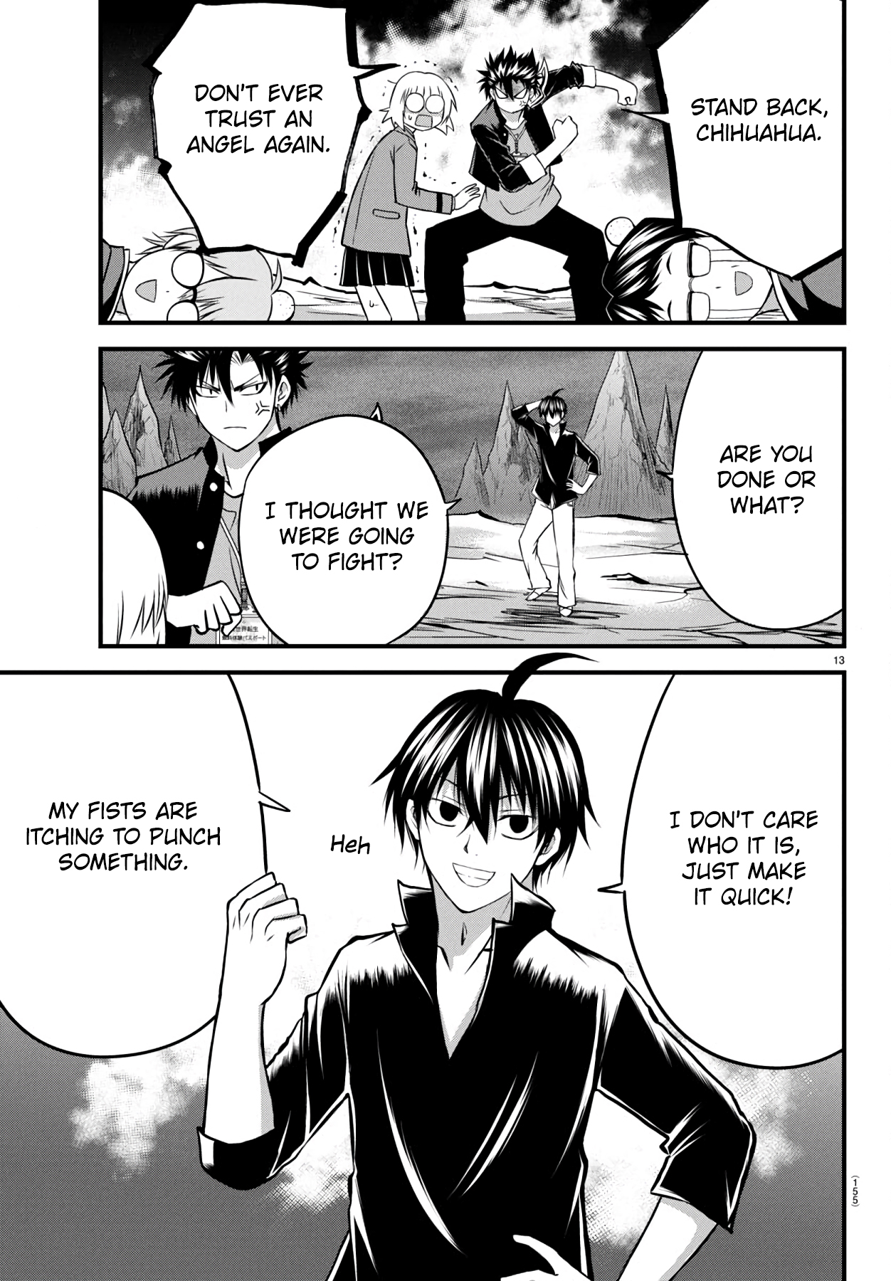 Page 13
