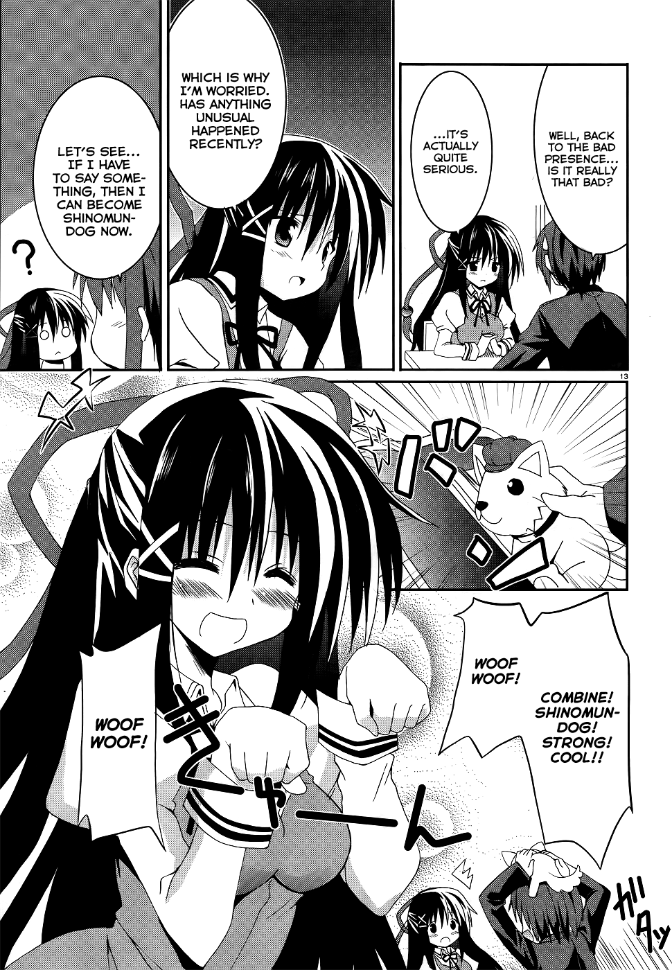 Page 13