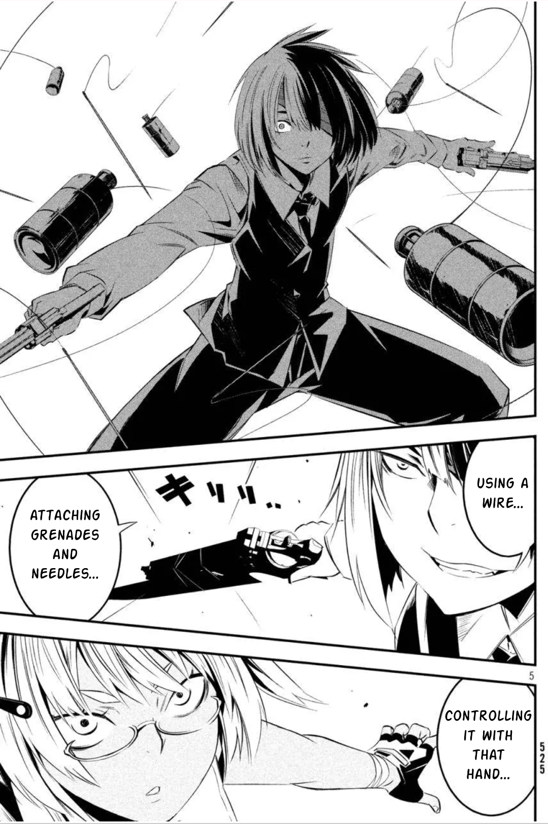 Page 5