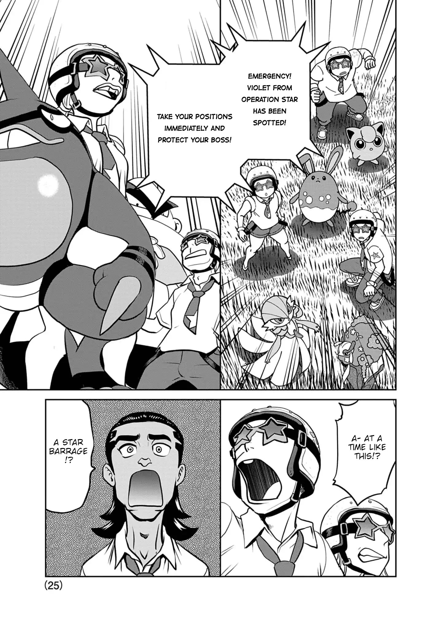Page 25
