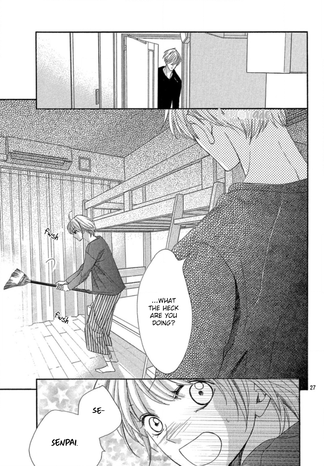 Page 27