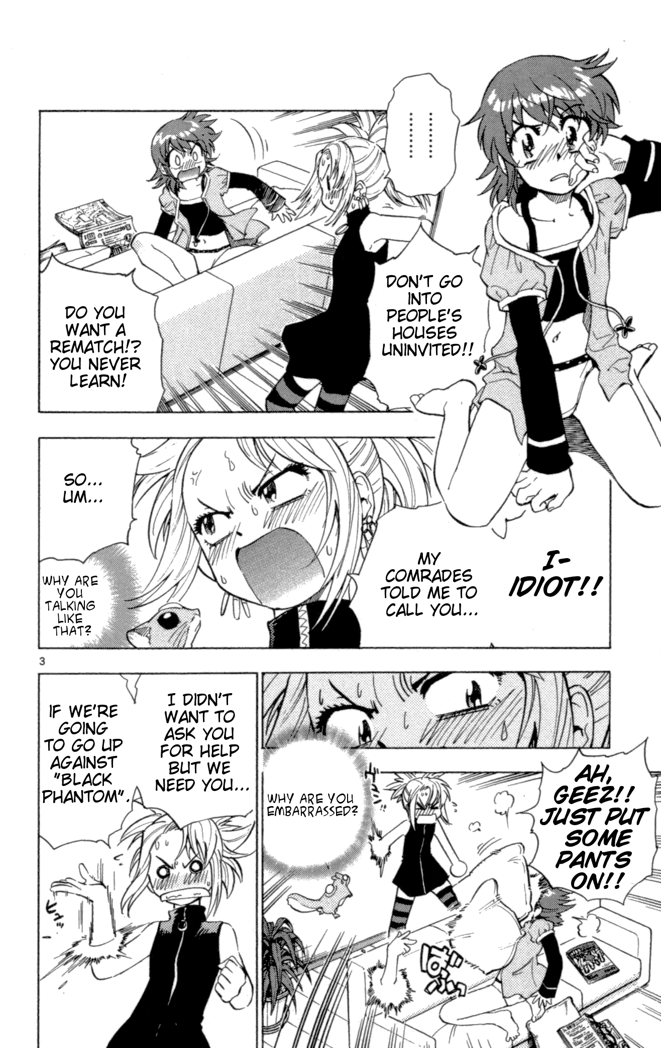Page 3