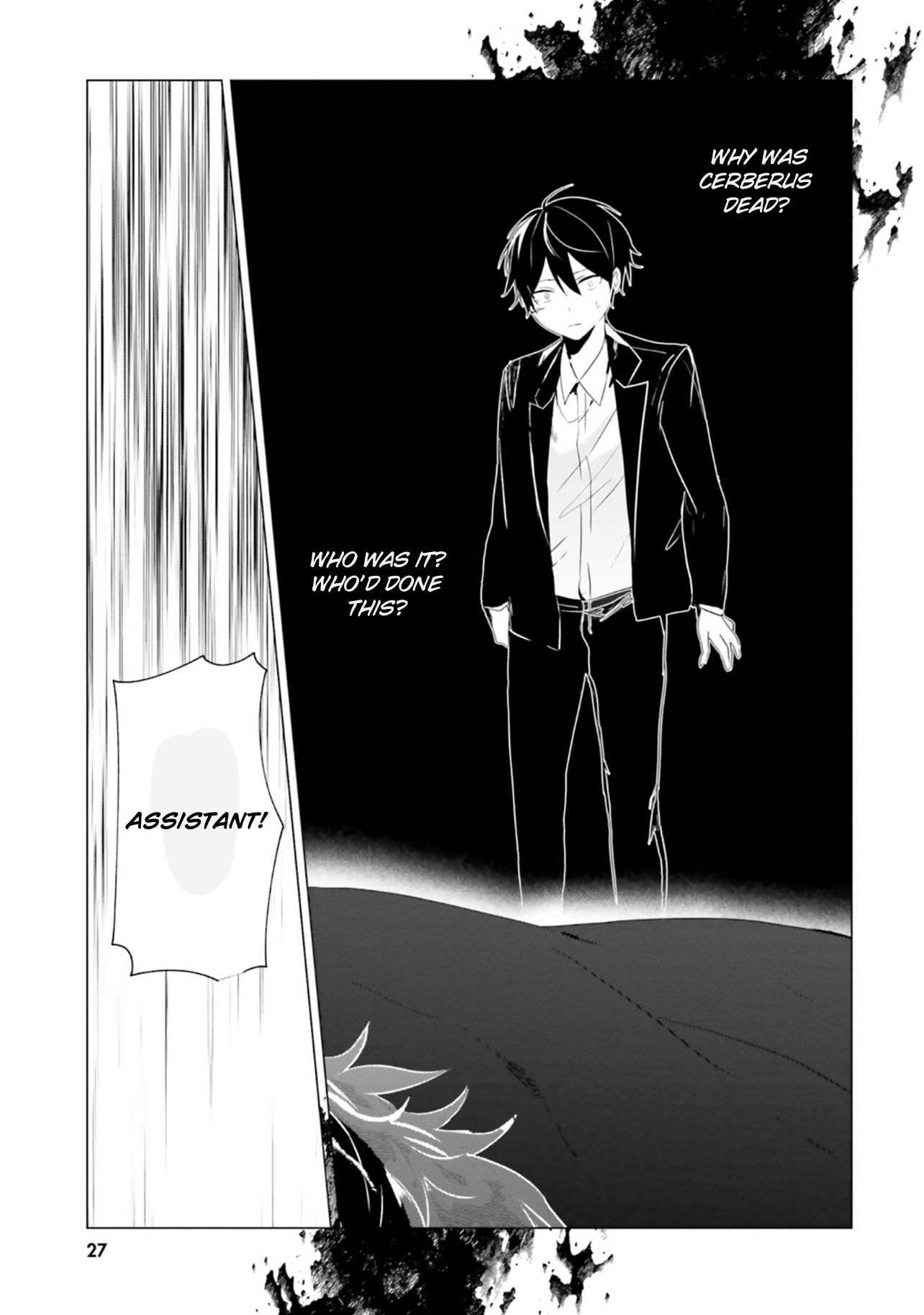 Page 27