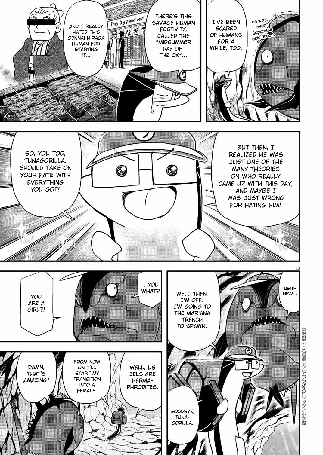 Page 13