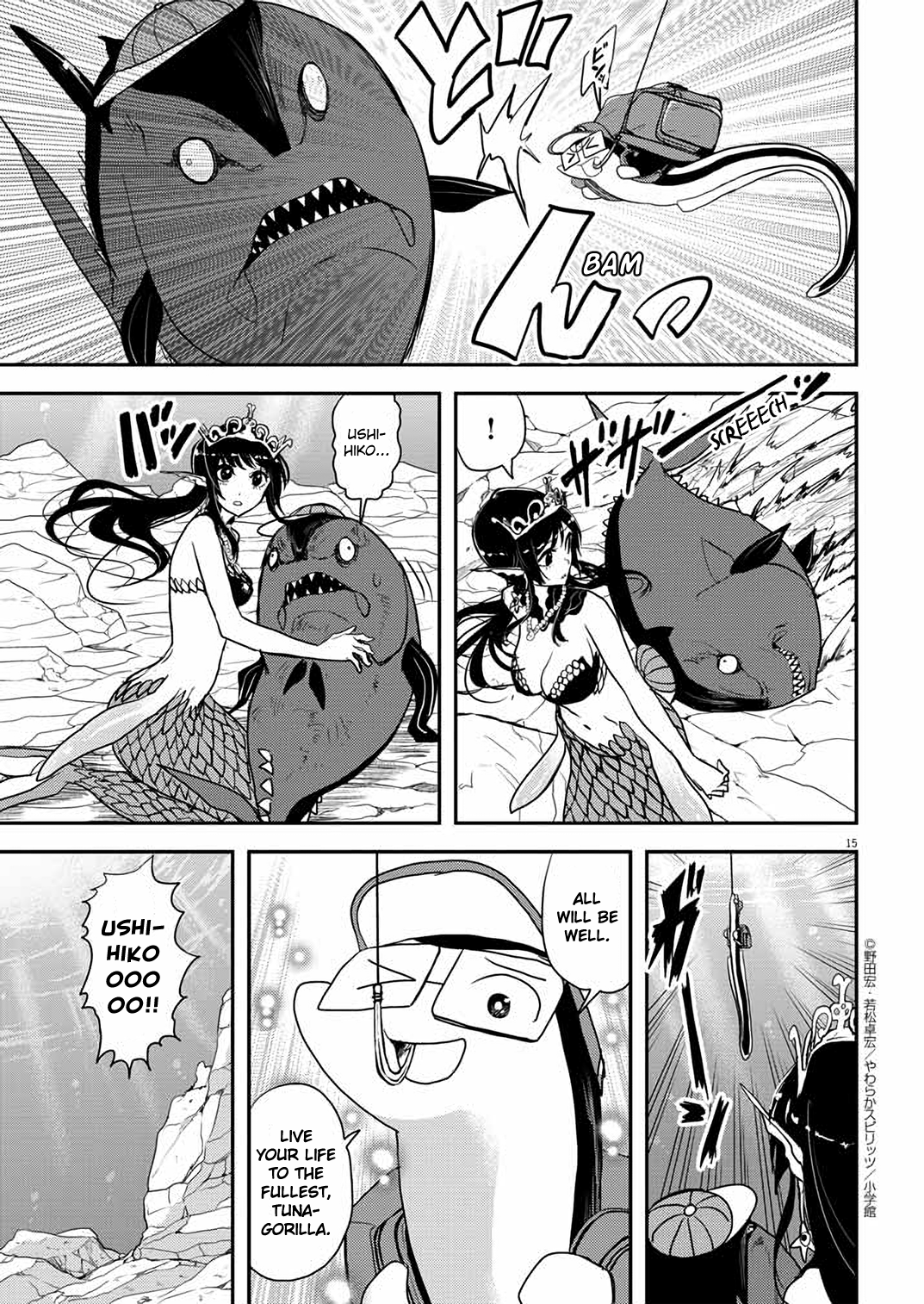 Page 15