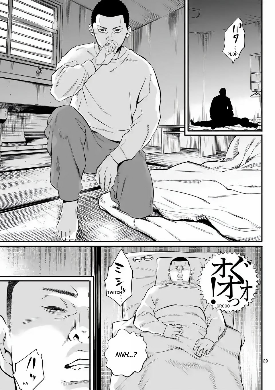 Page 29