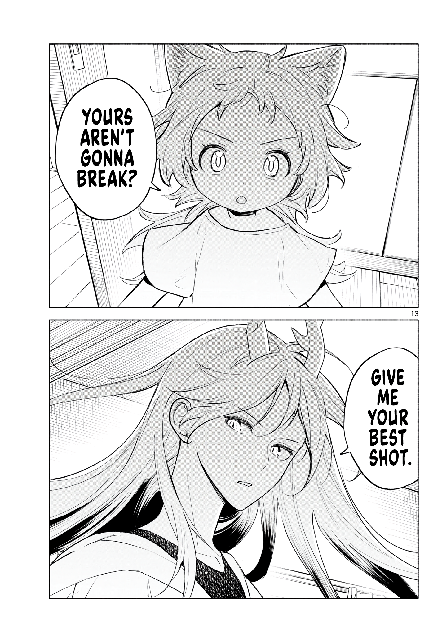 Page 13
