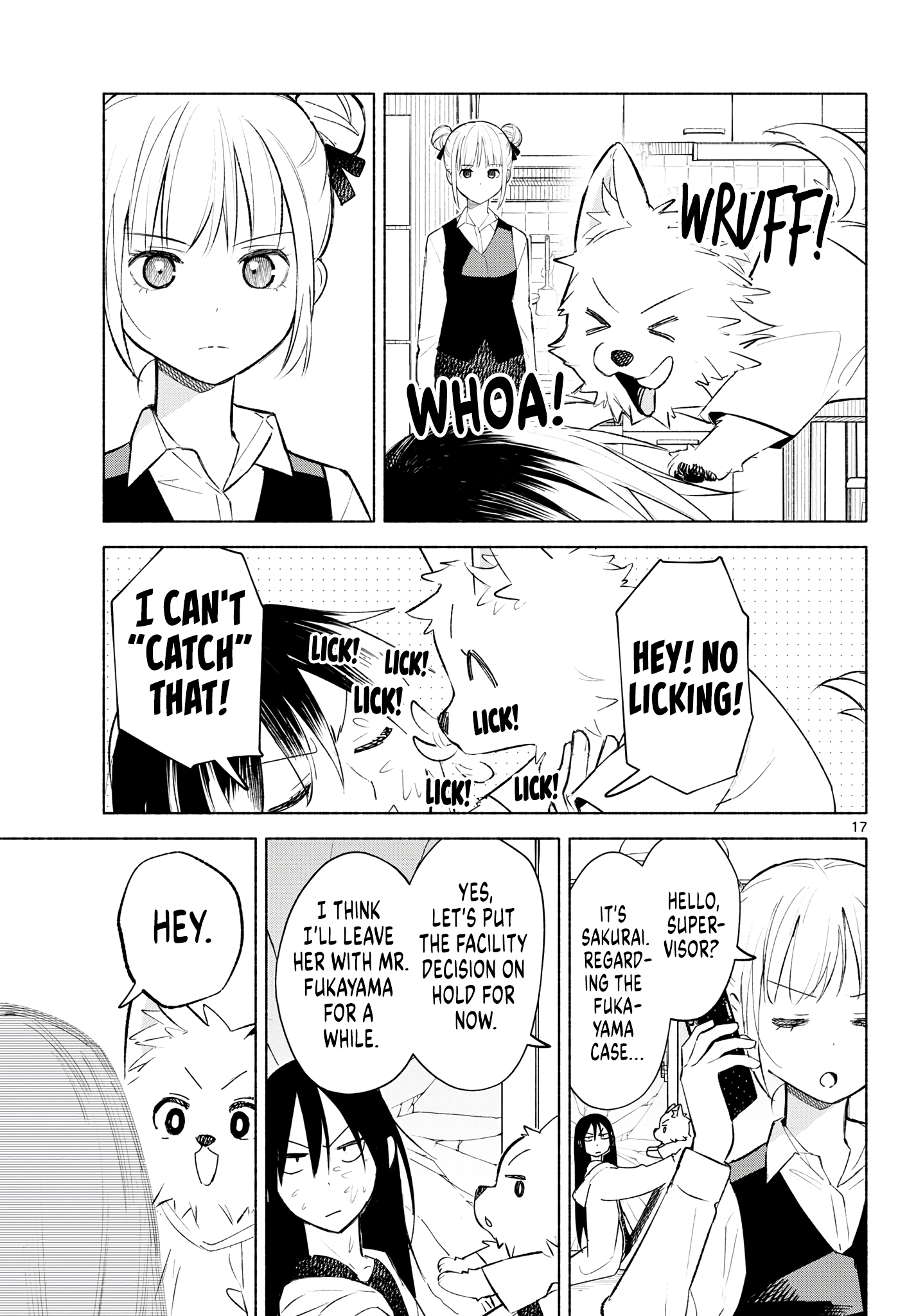 Page 17