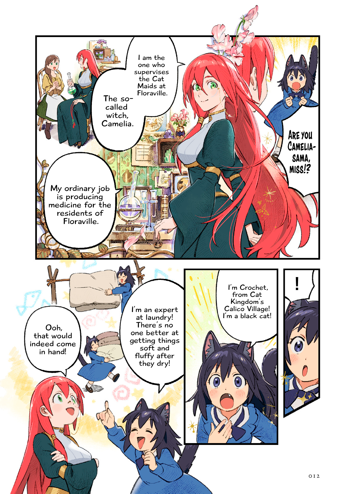 Page 12