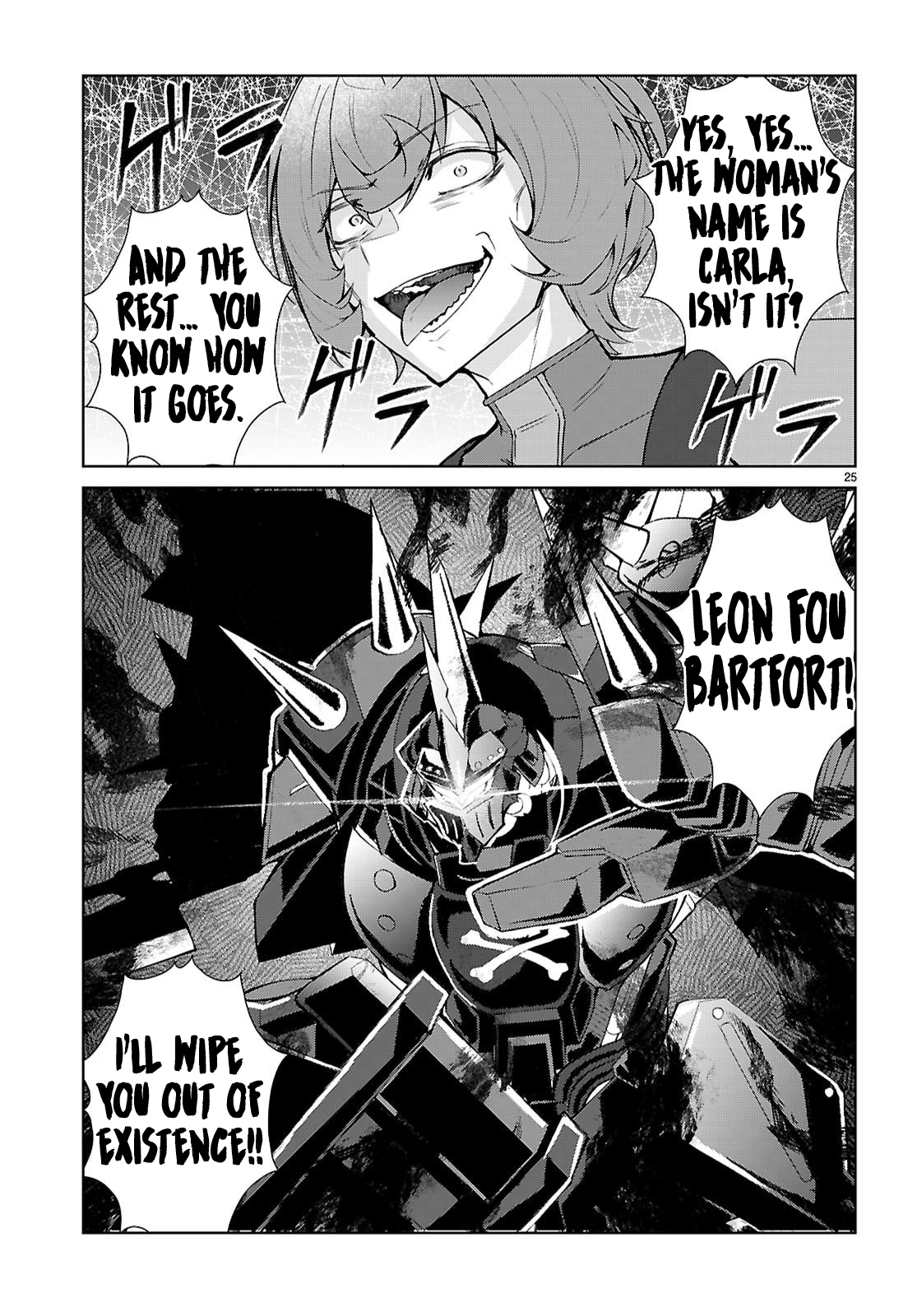 Page 25