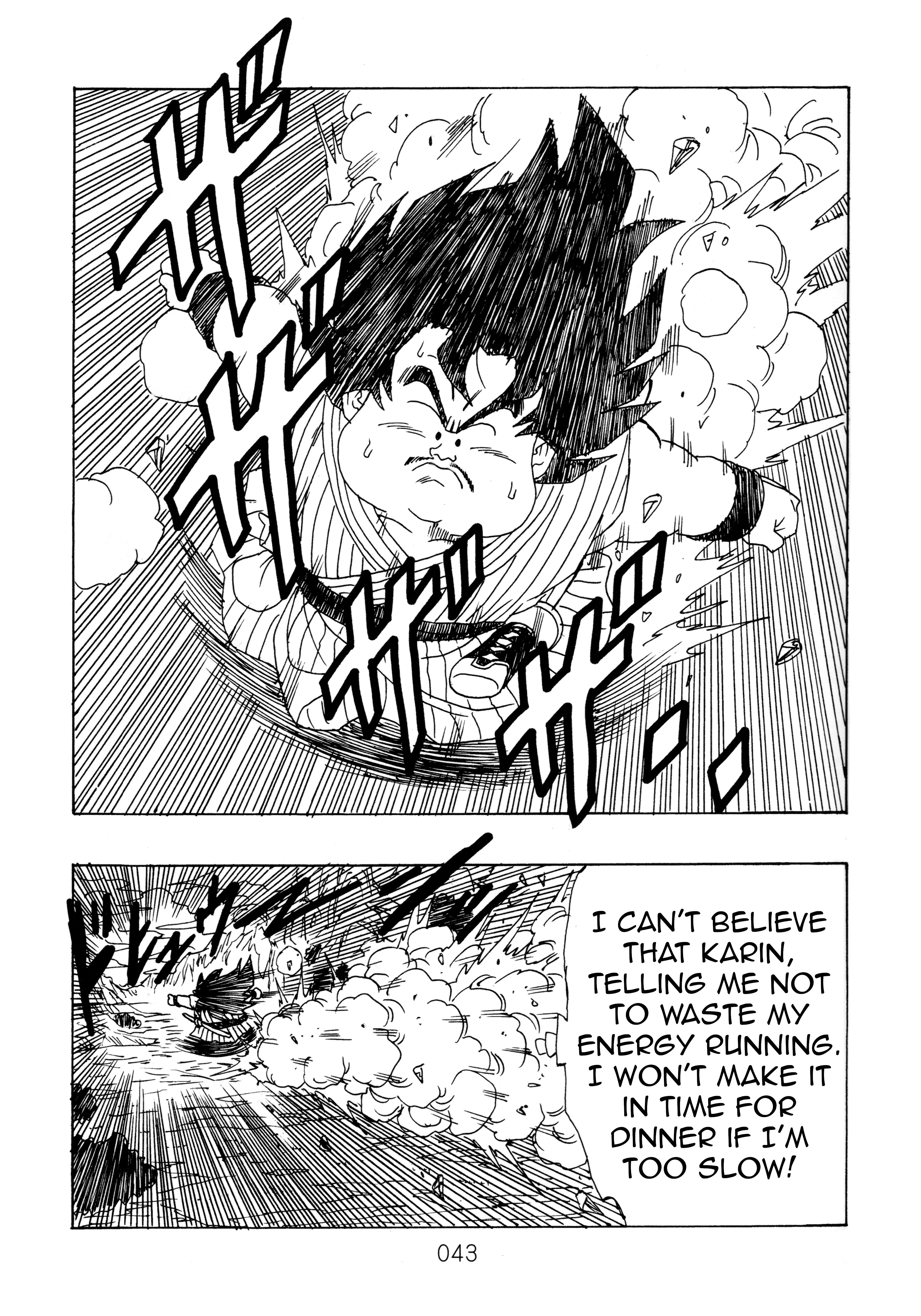 Page 43