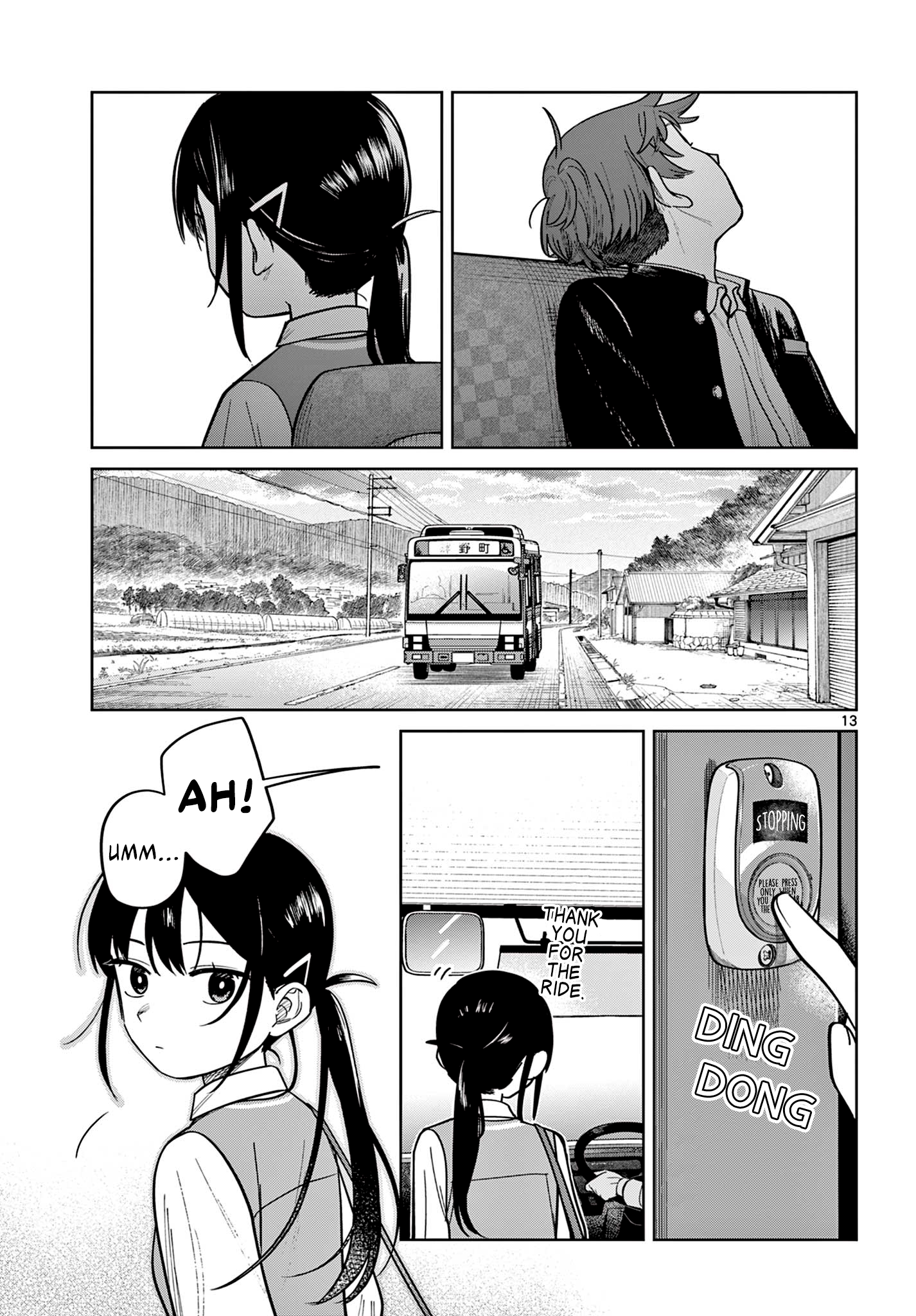 Page 13