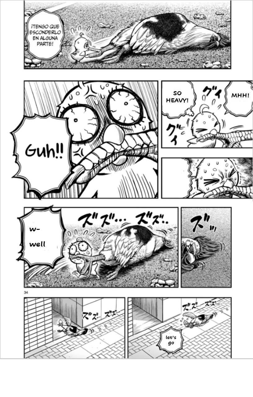 Page 34