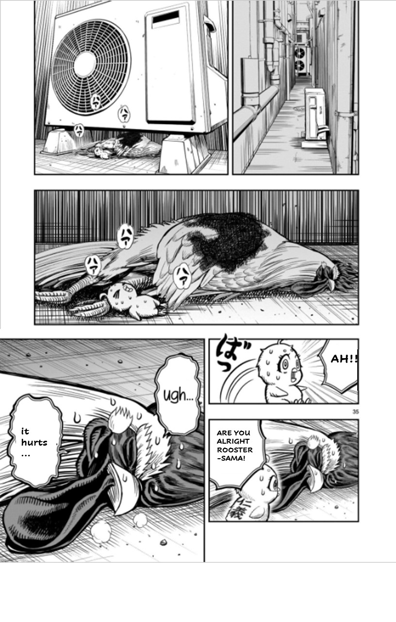 Page 35