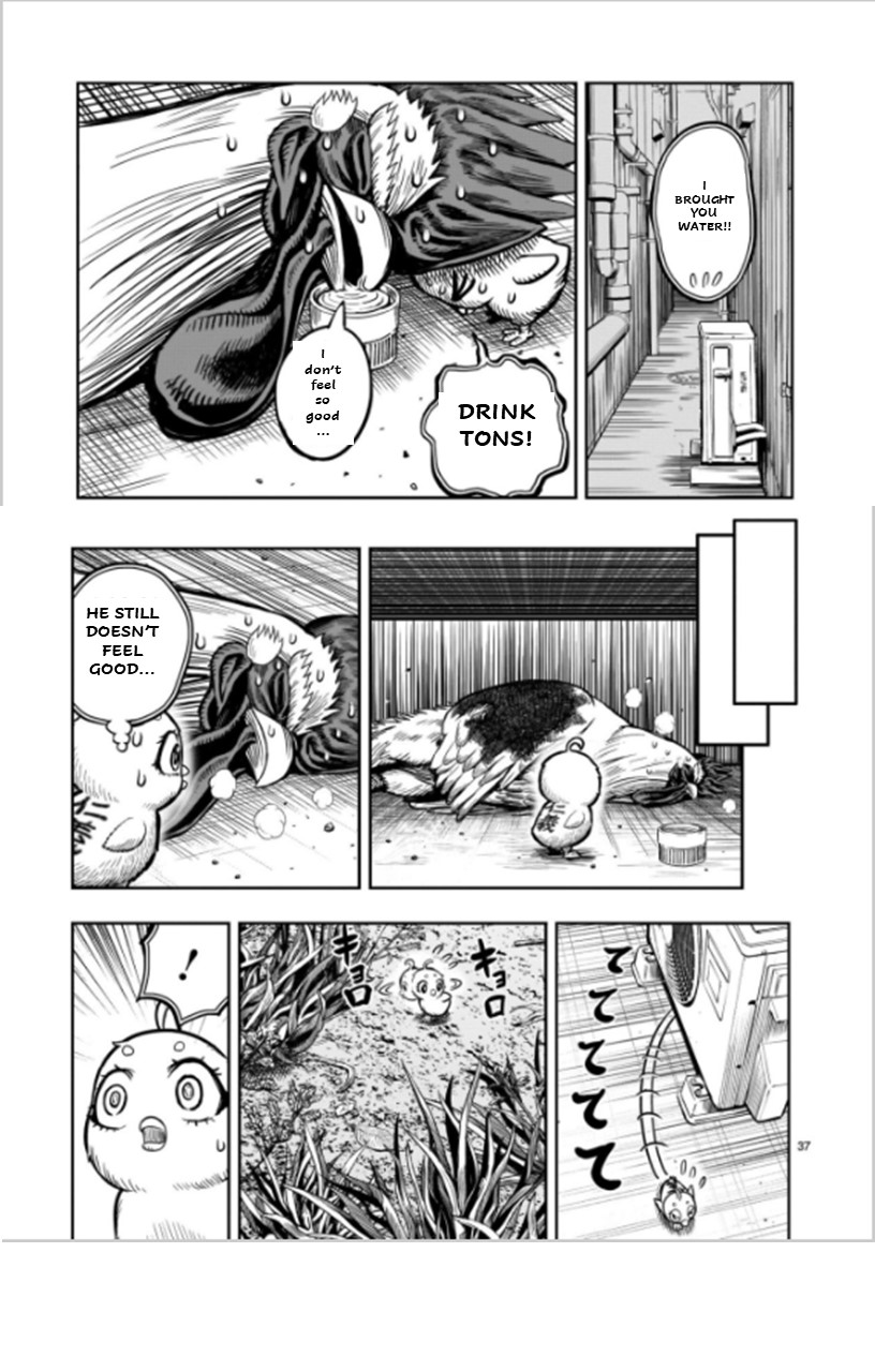 Page 37