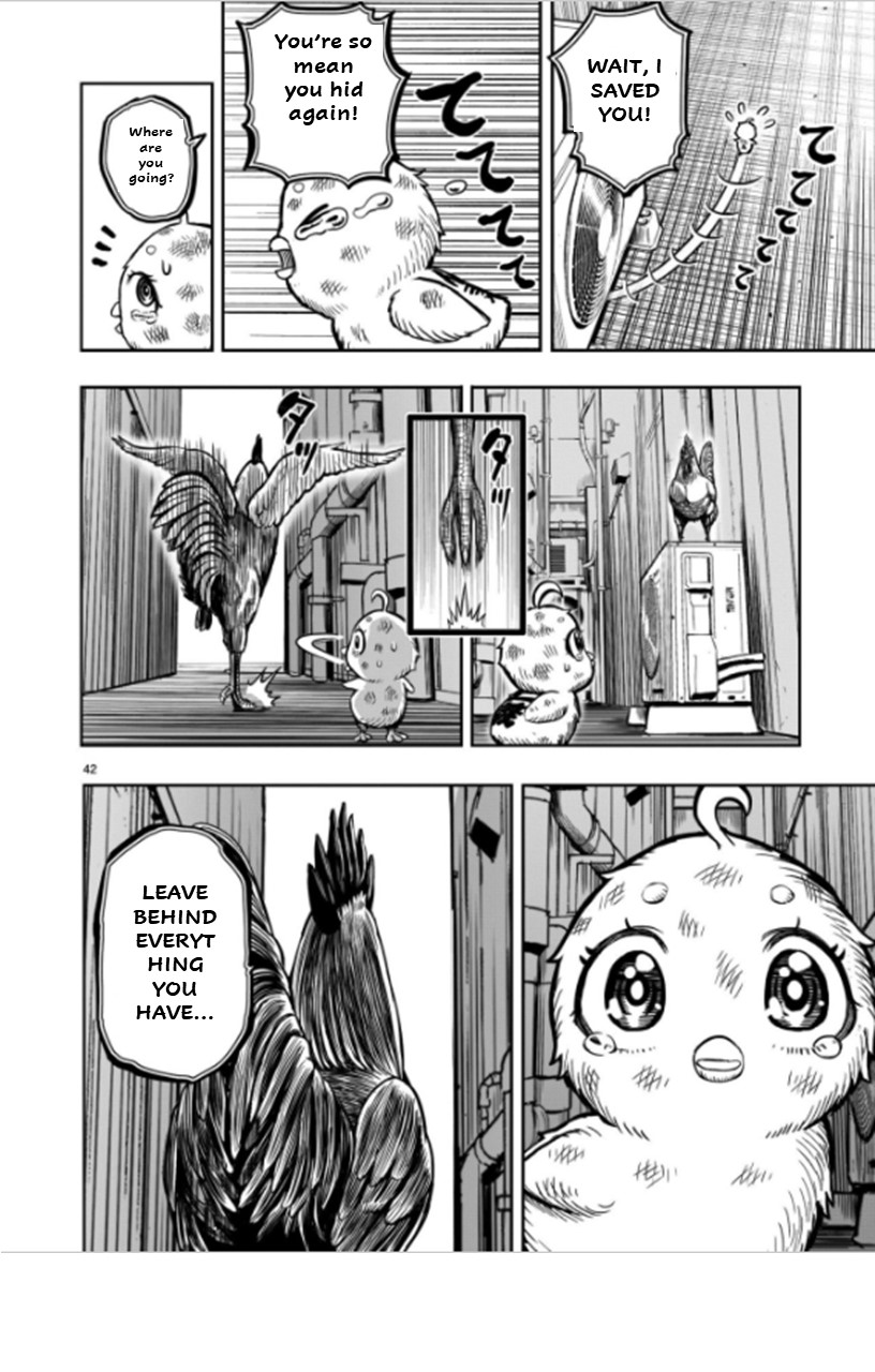 Page 42