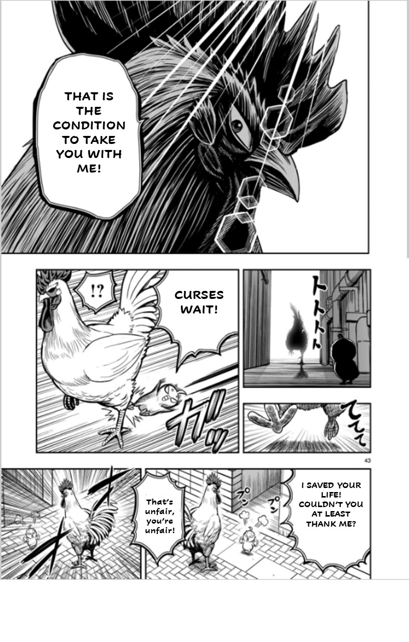 Page 43