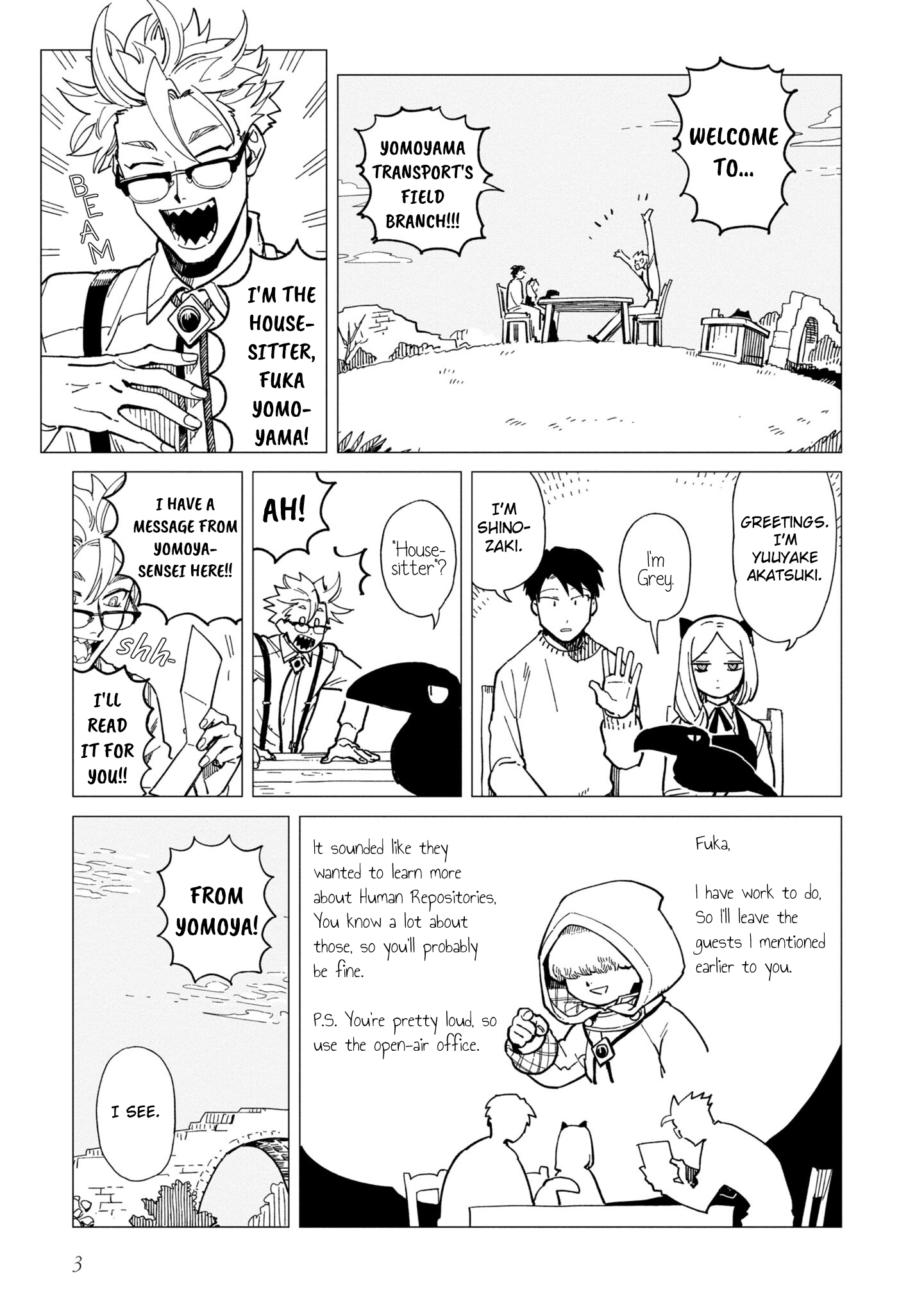 Page 3