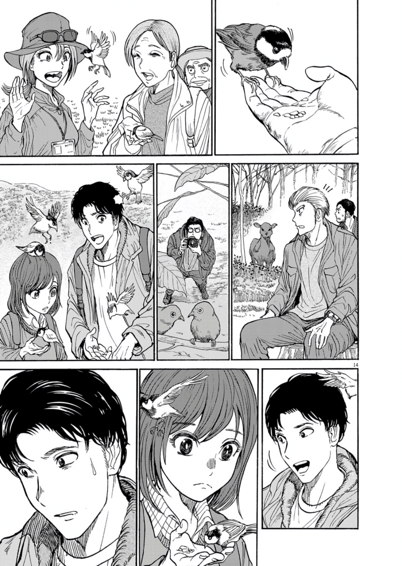 Page 14