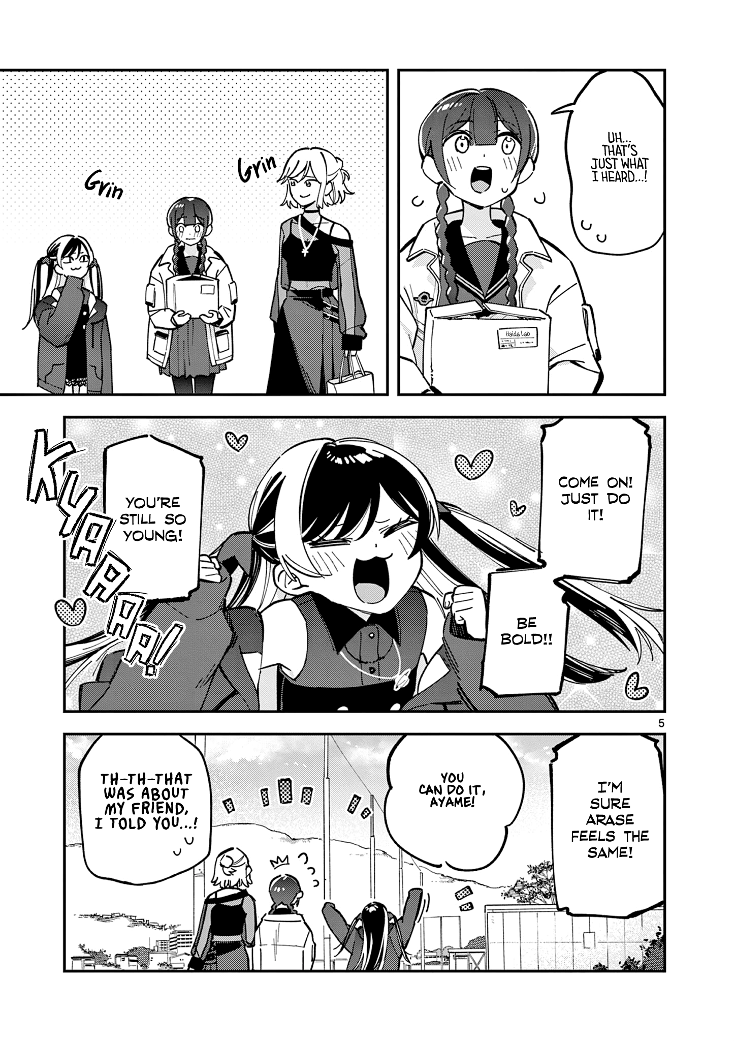 Page 5