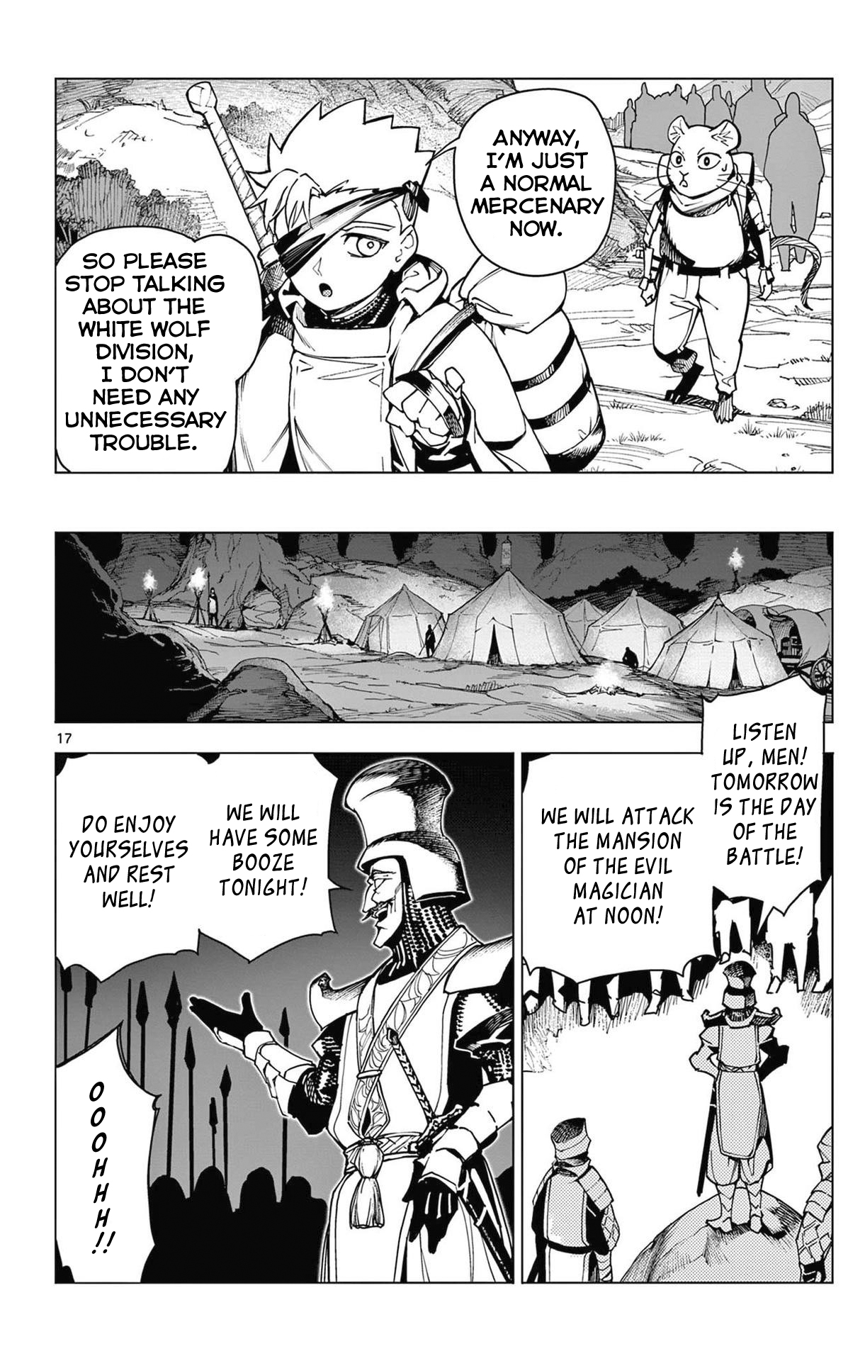 Page 17