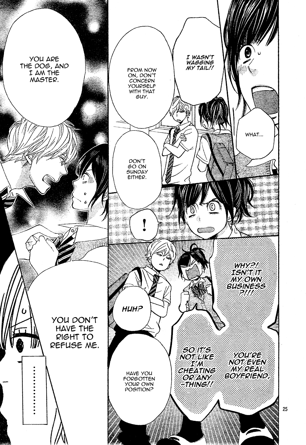 Page 25