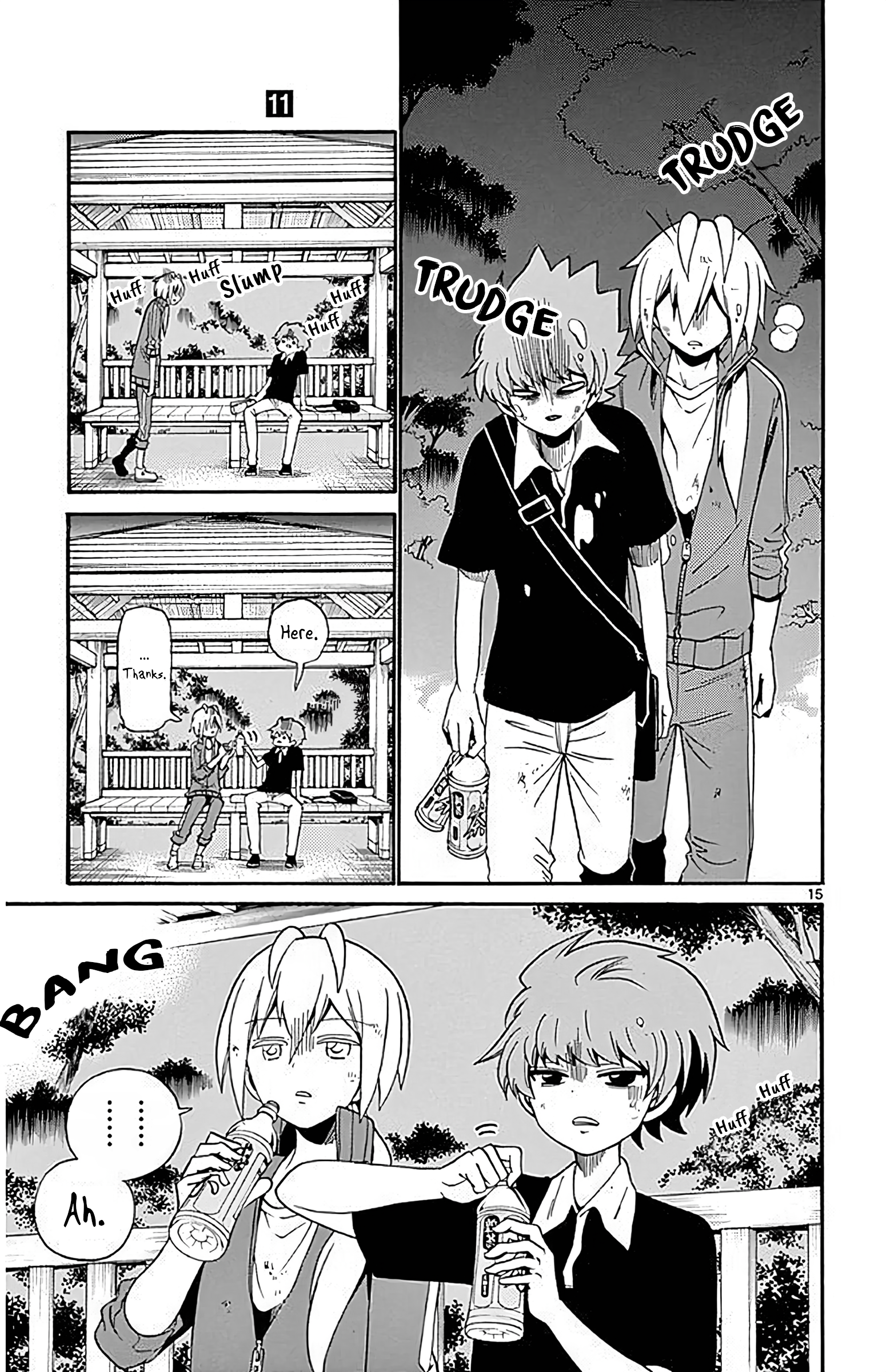 Page 15