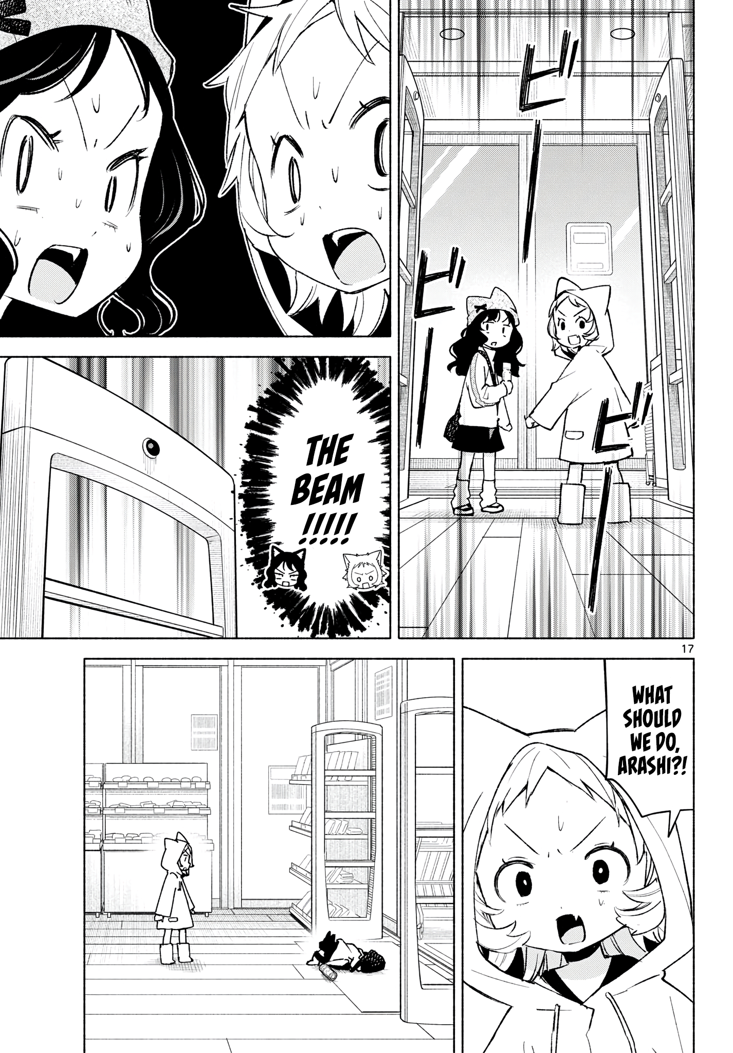 Page 17