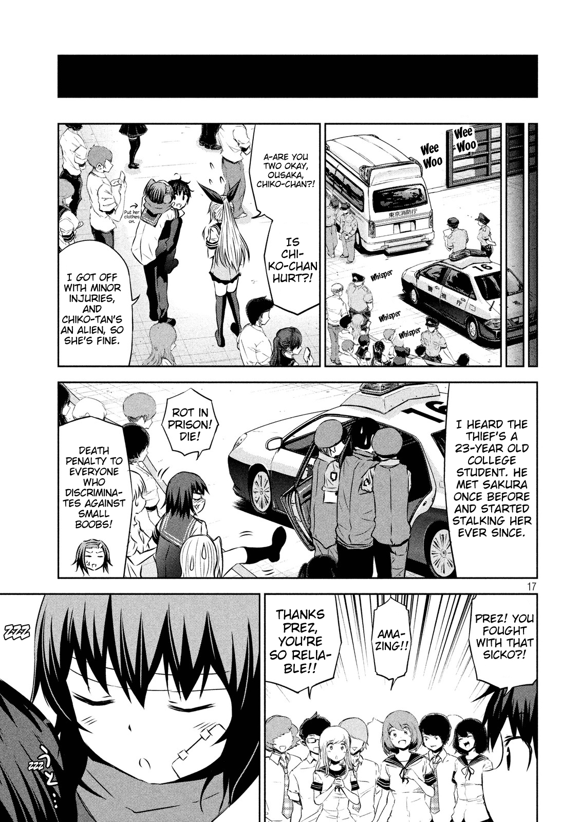 Page 17