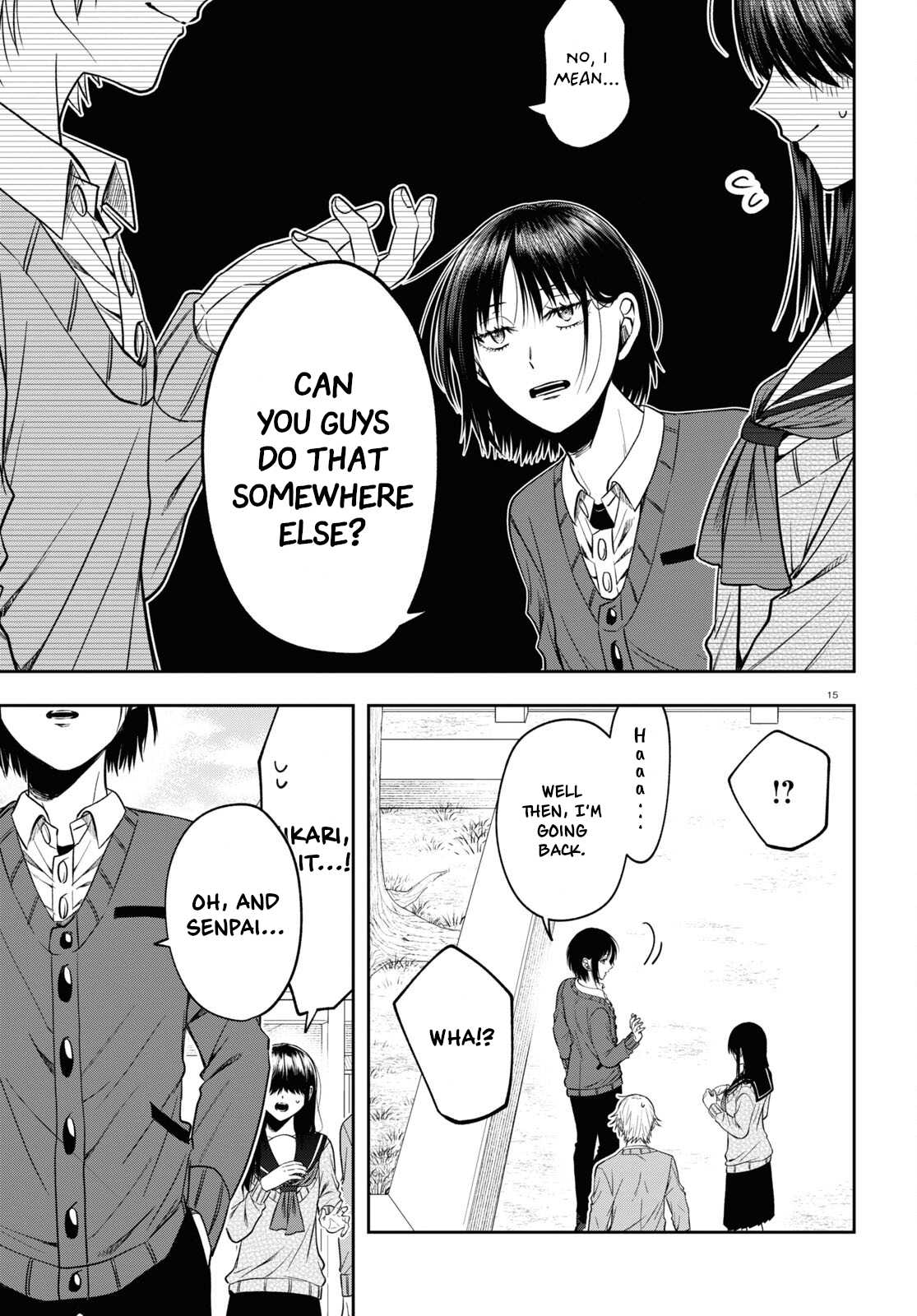 Page 15