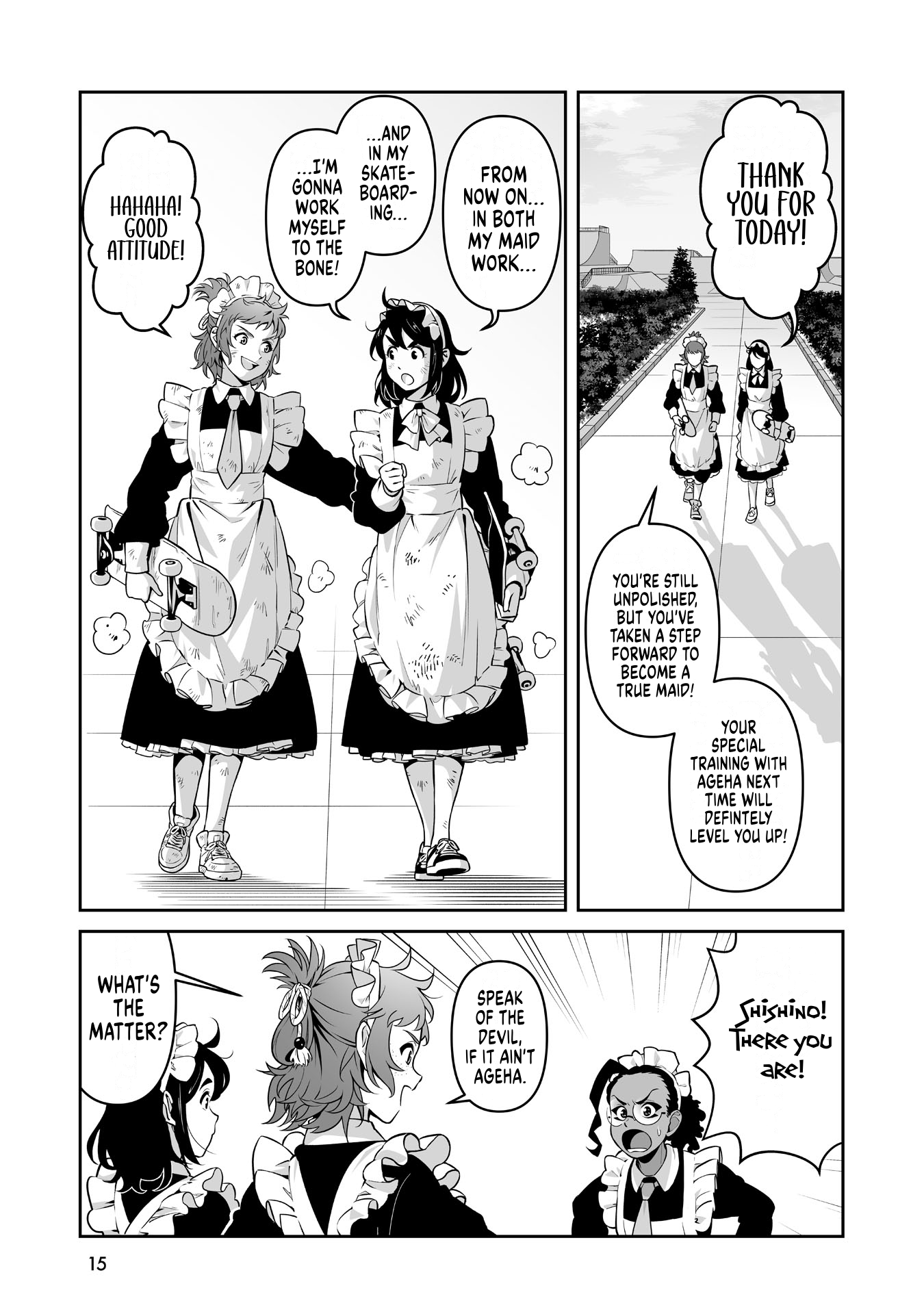 Page 15