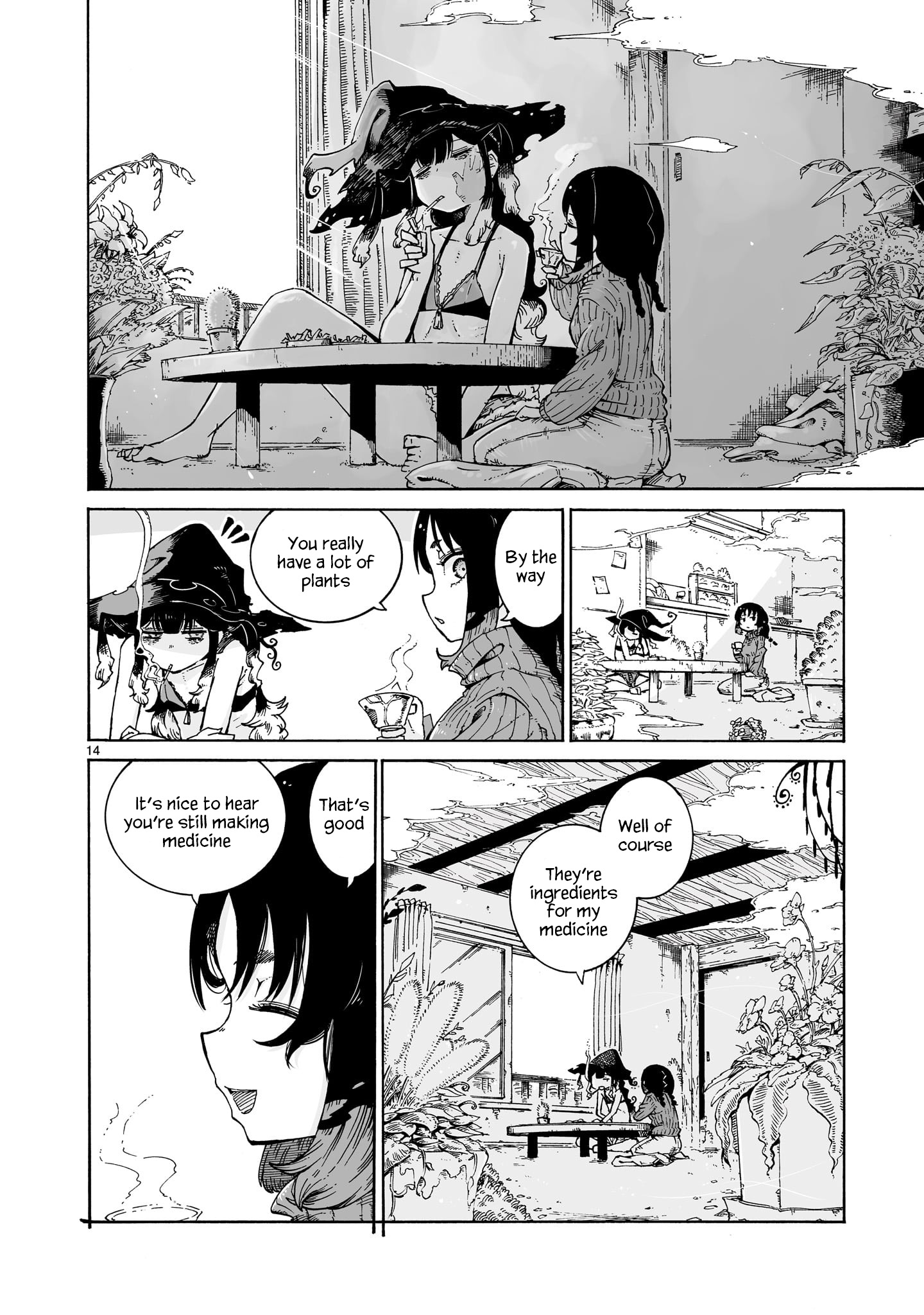 Page 14