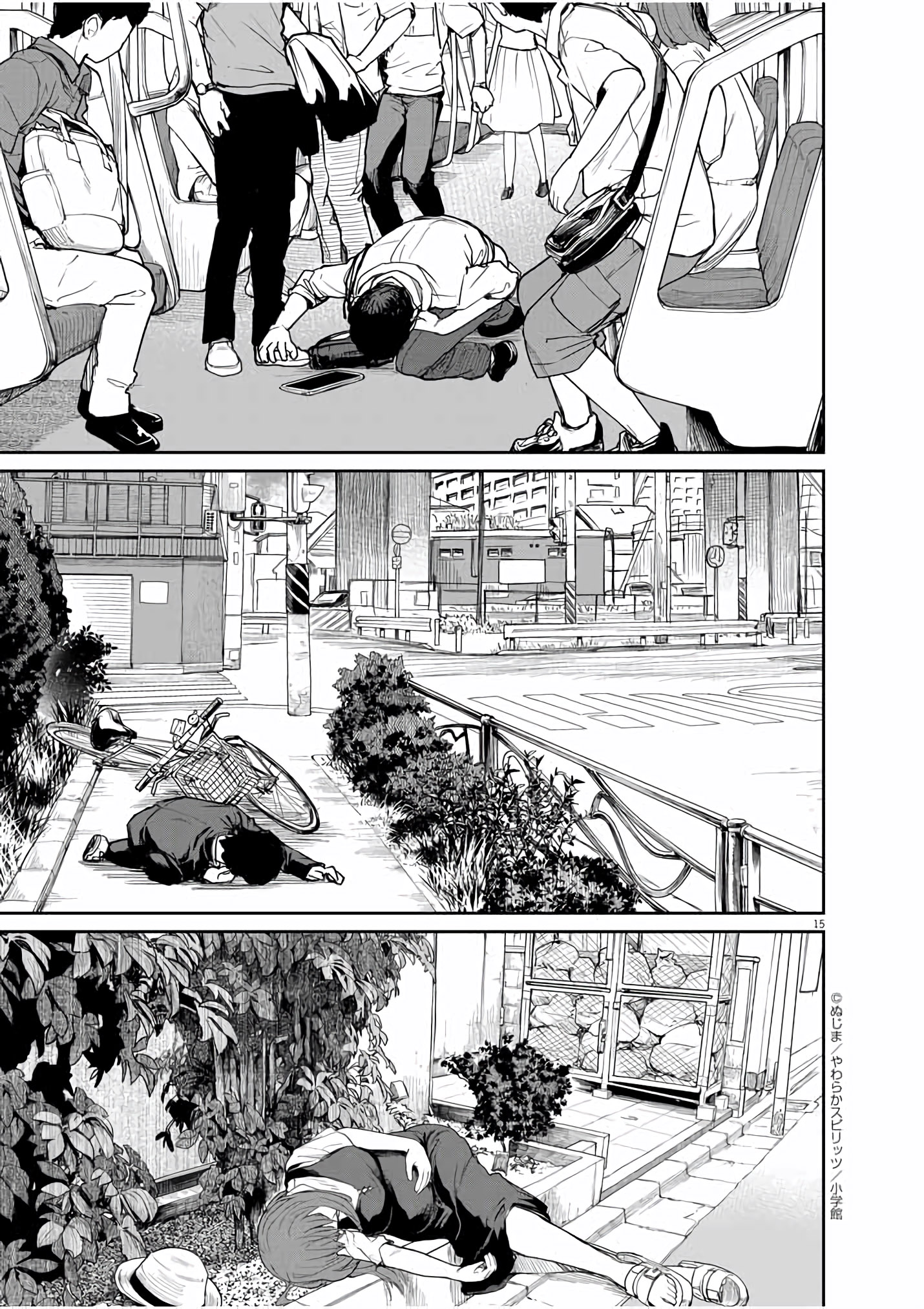 Page 15