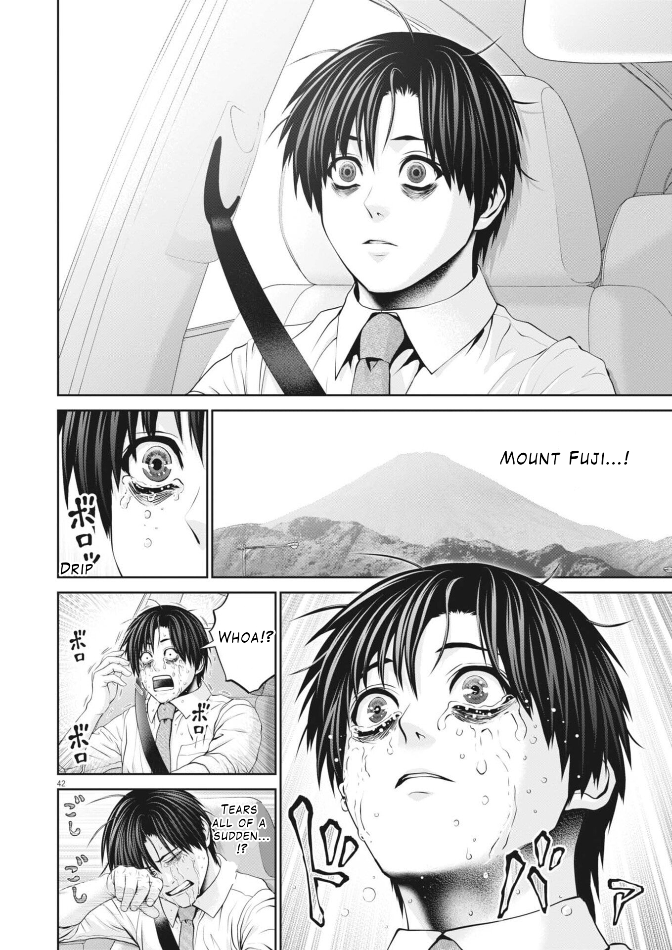 Page 43