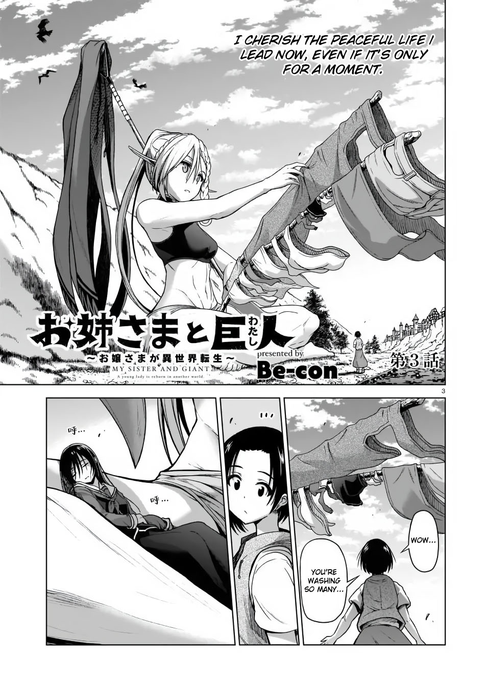 Page 3
