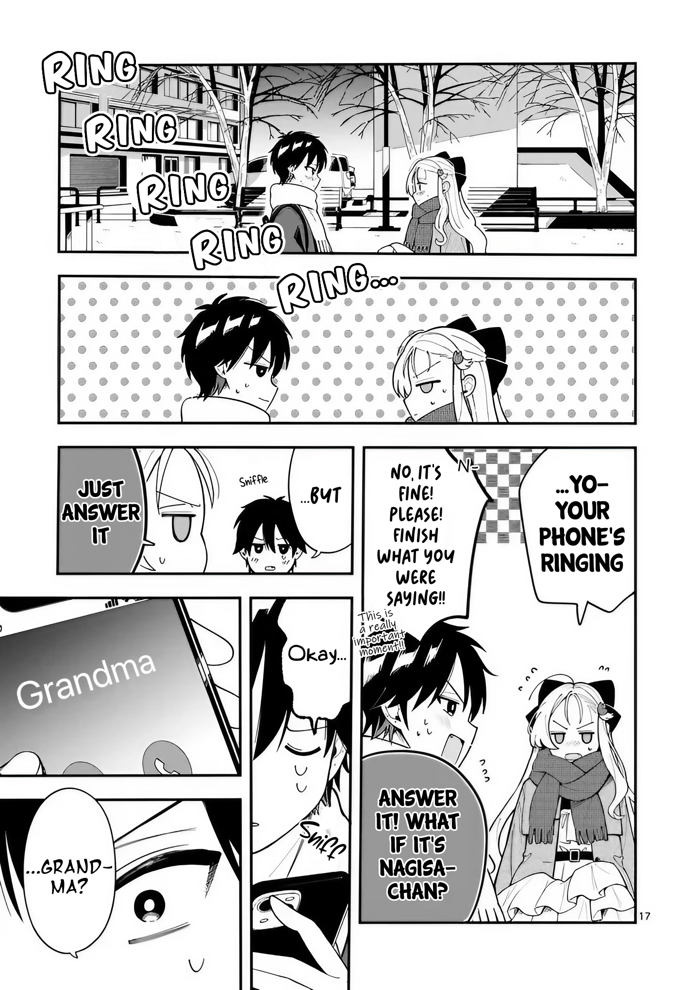 Page 17
