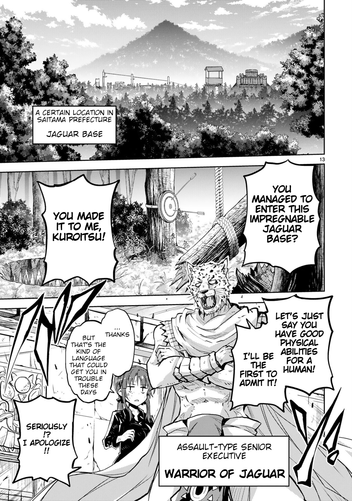 Page 13