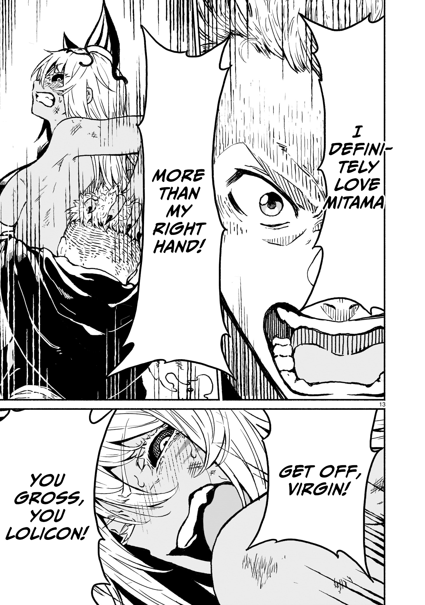 Page 13