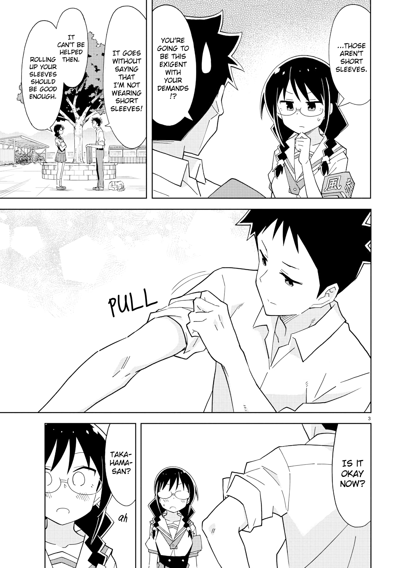 Page 3