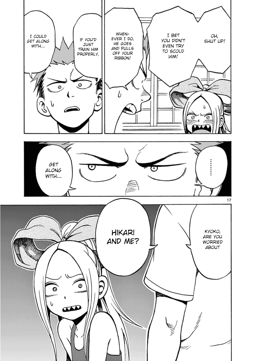 Page 17