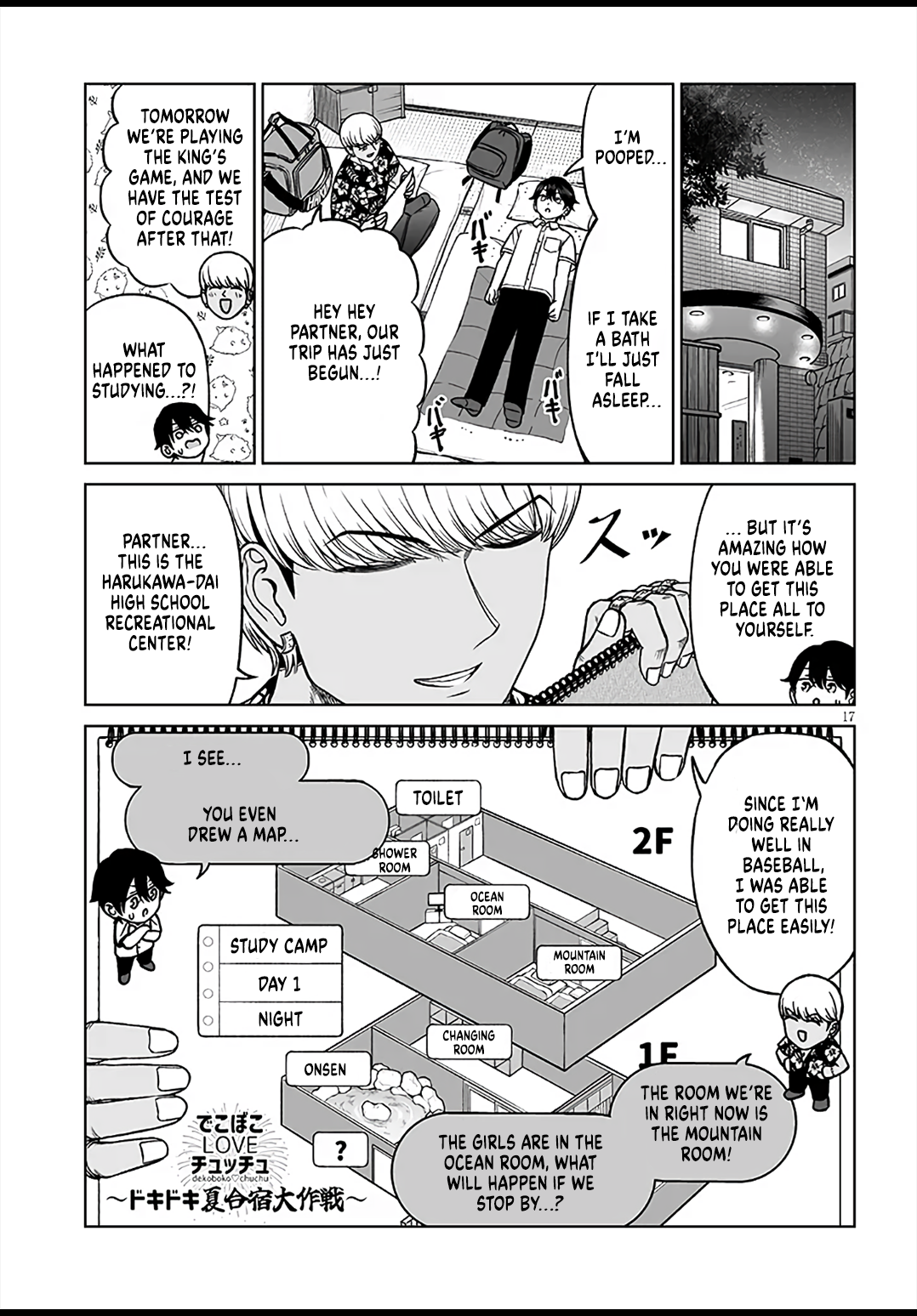 Page 17