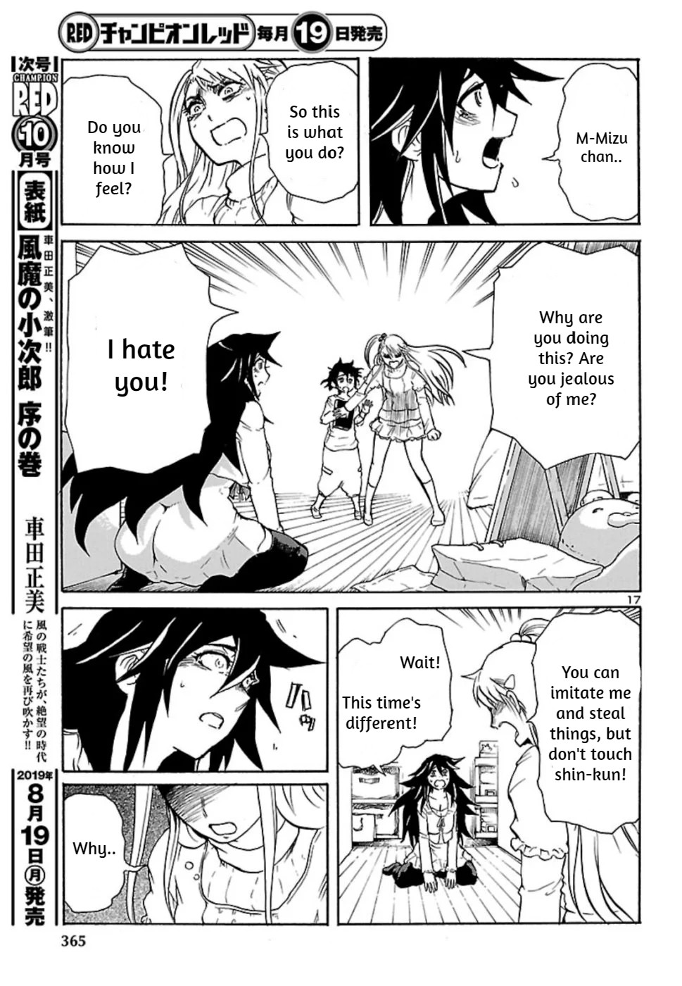 Page 17