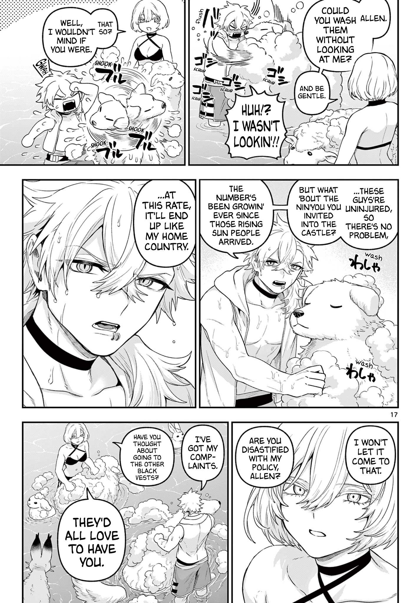 Page 17