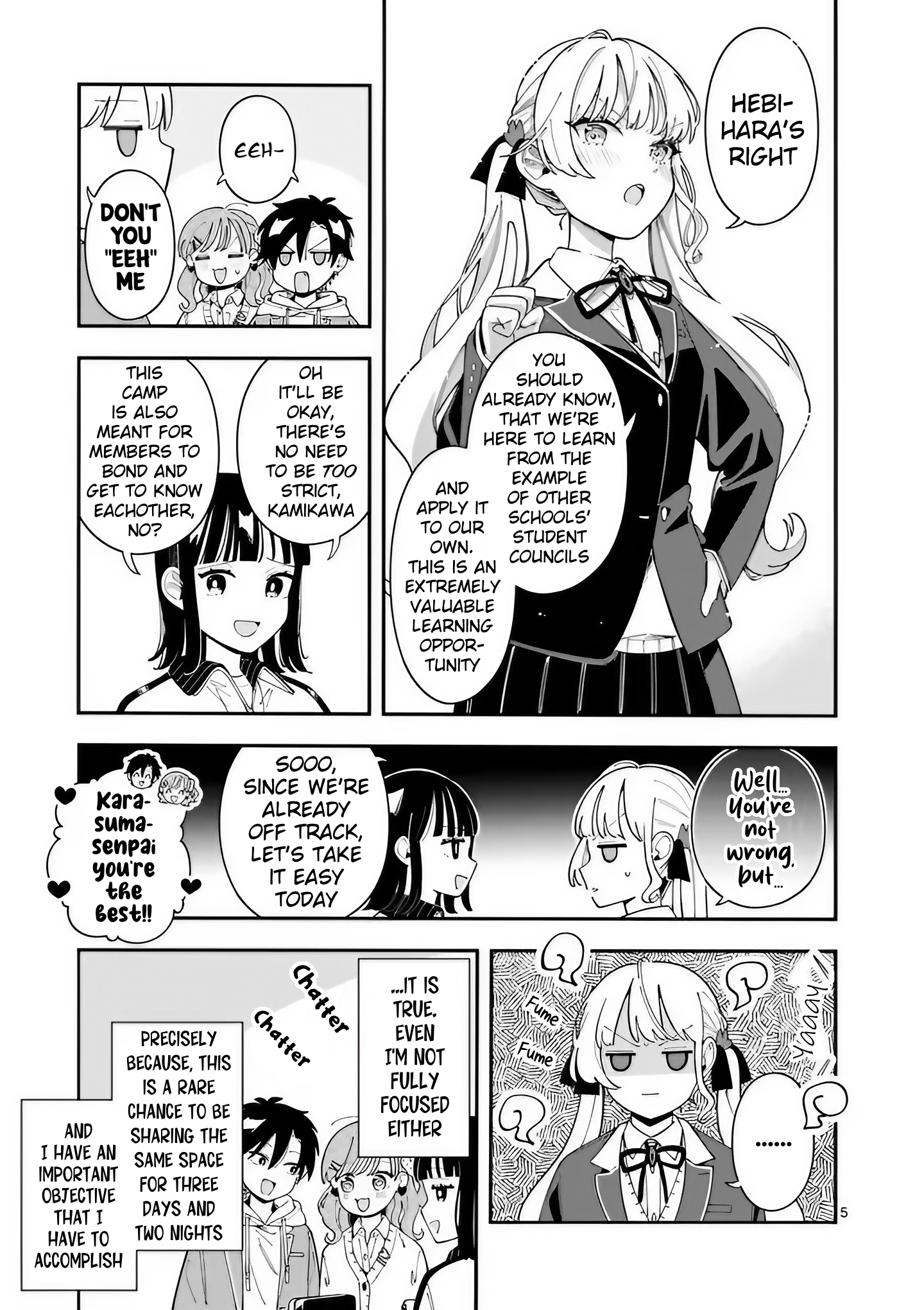 Page 5