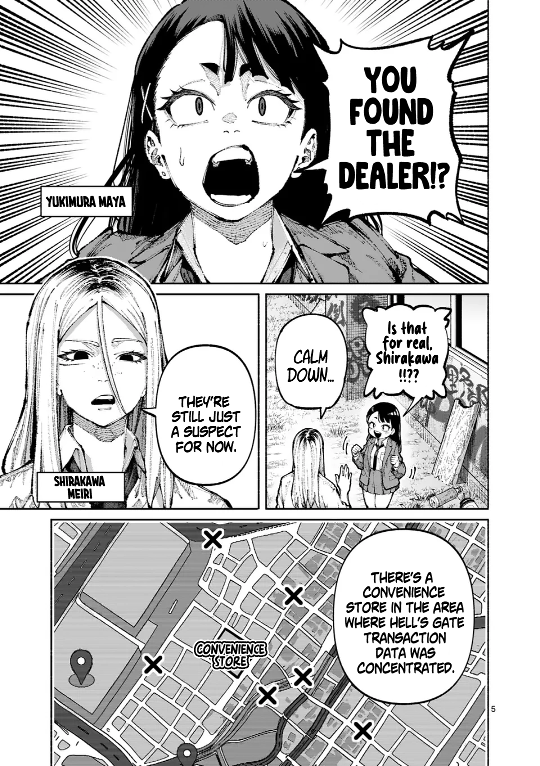 Page 5