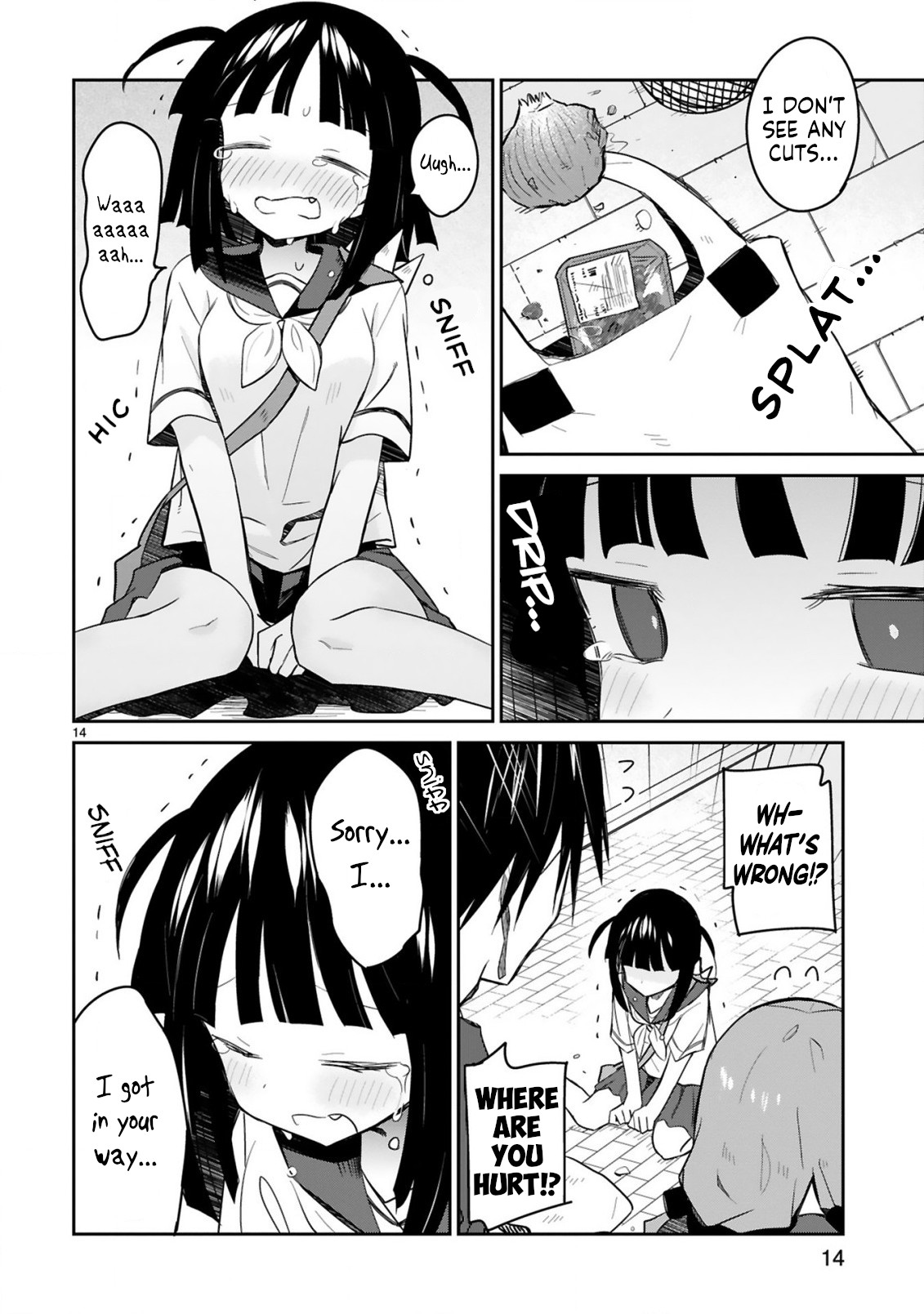 Page 14