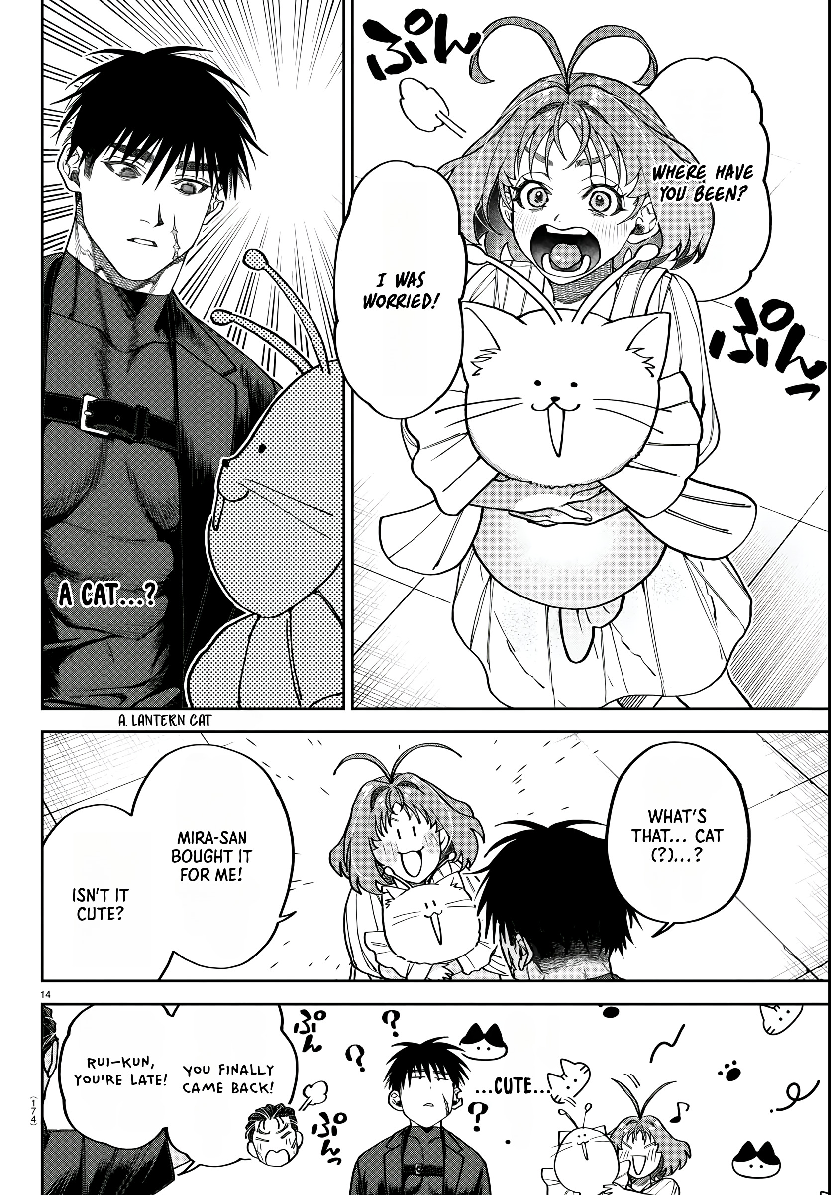 Page 14