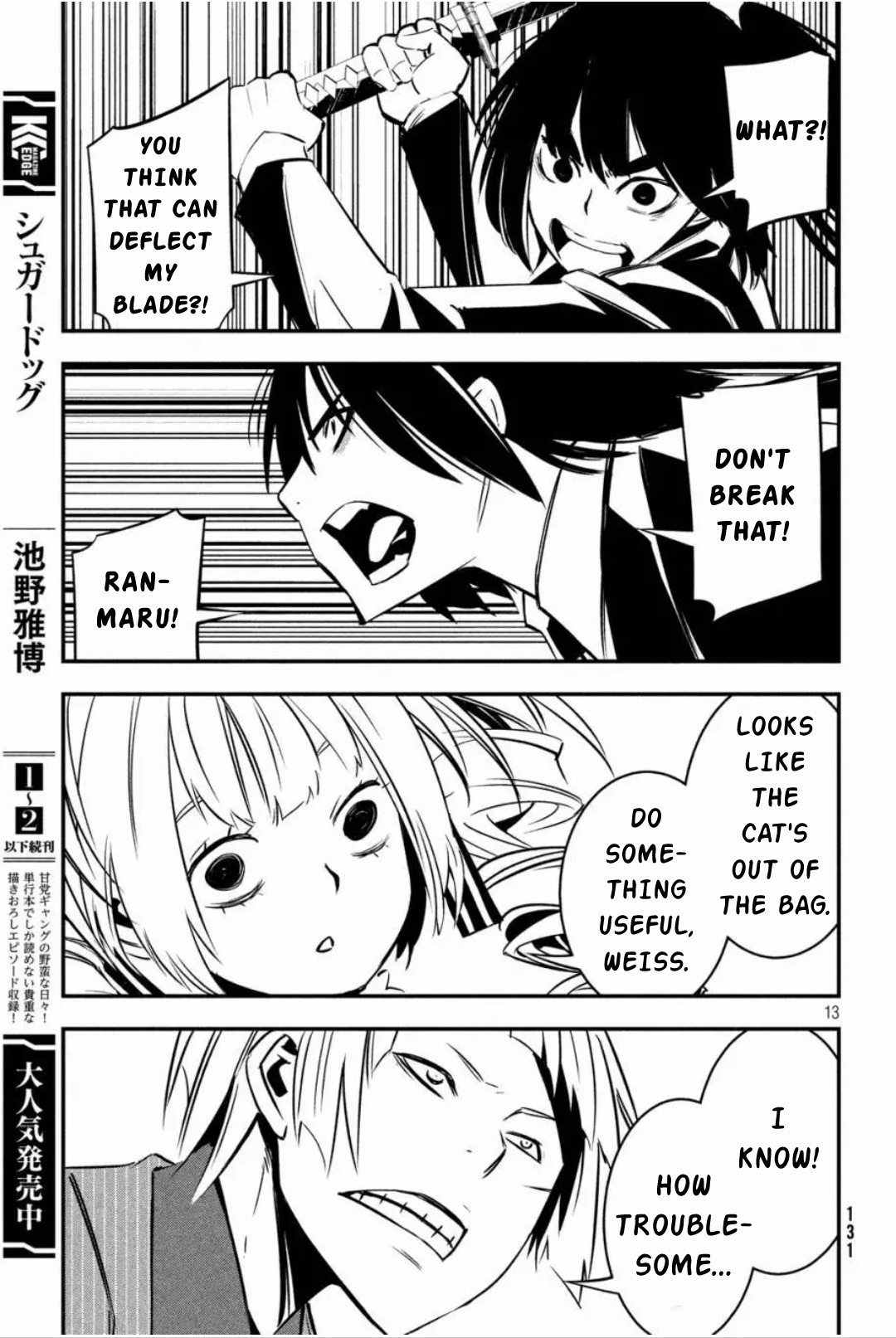 Page 13