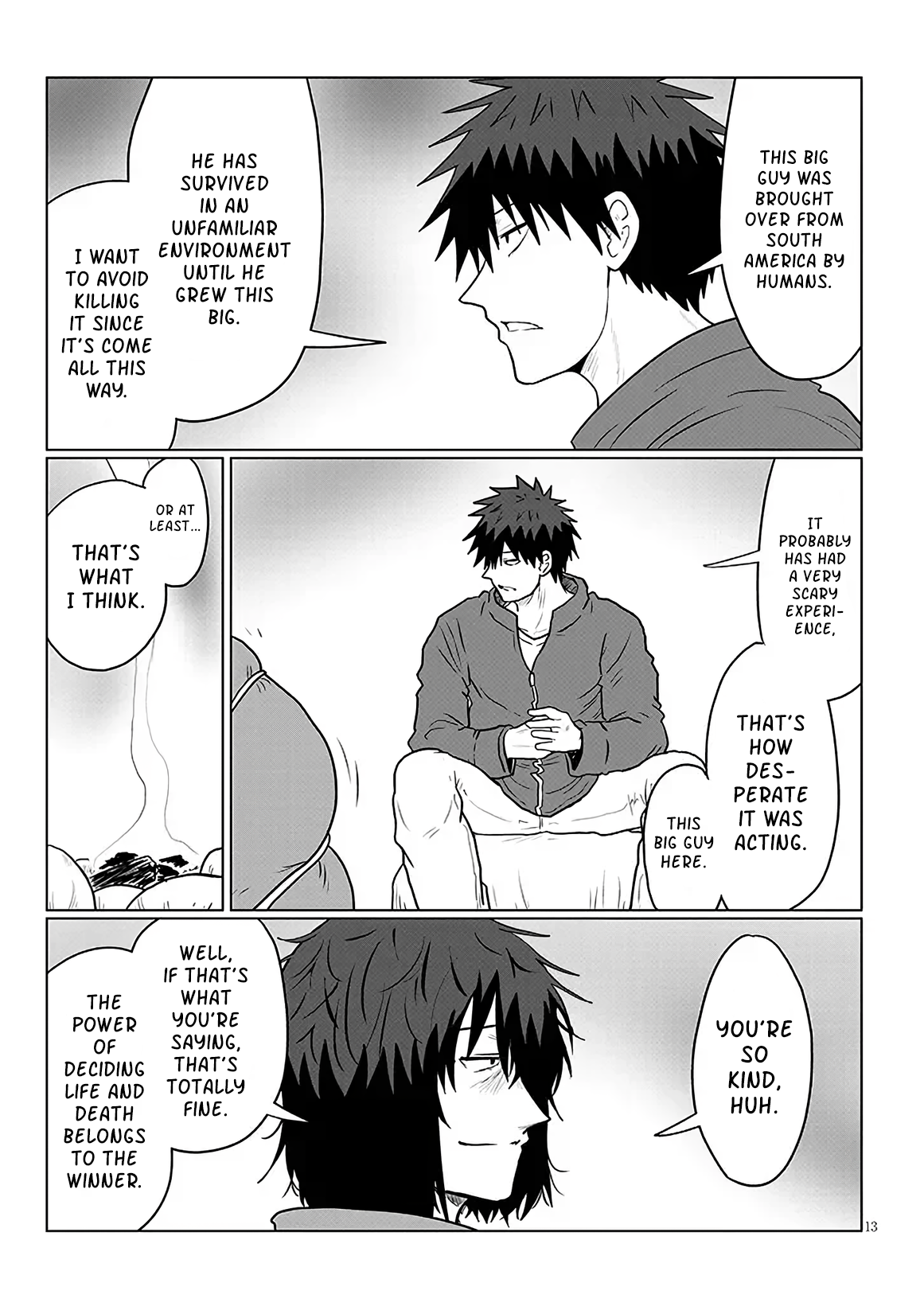 Page 13